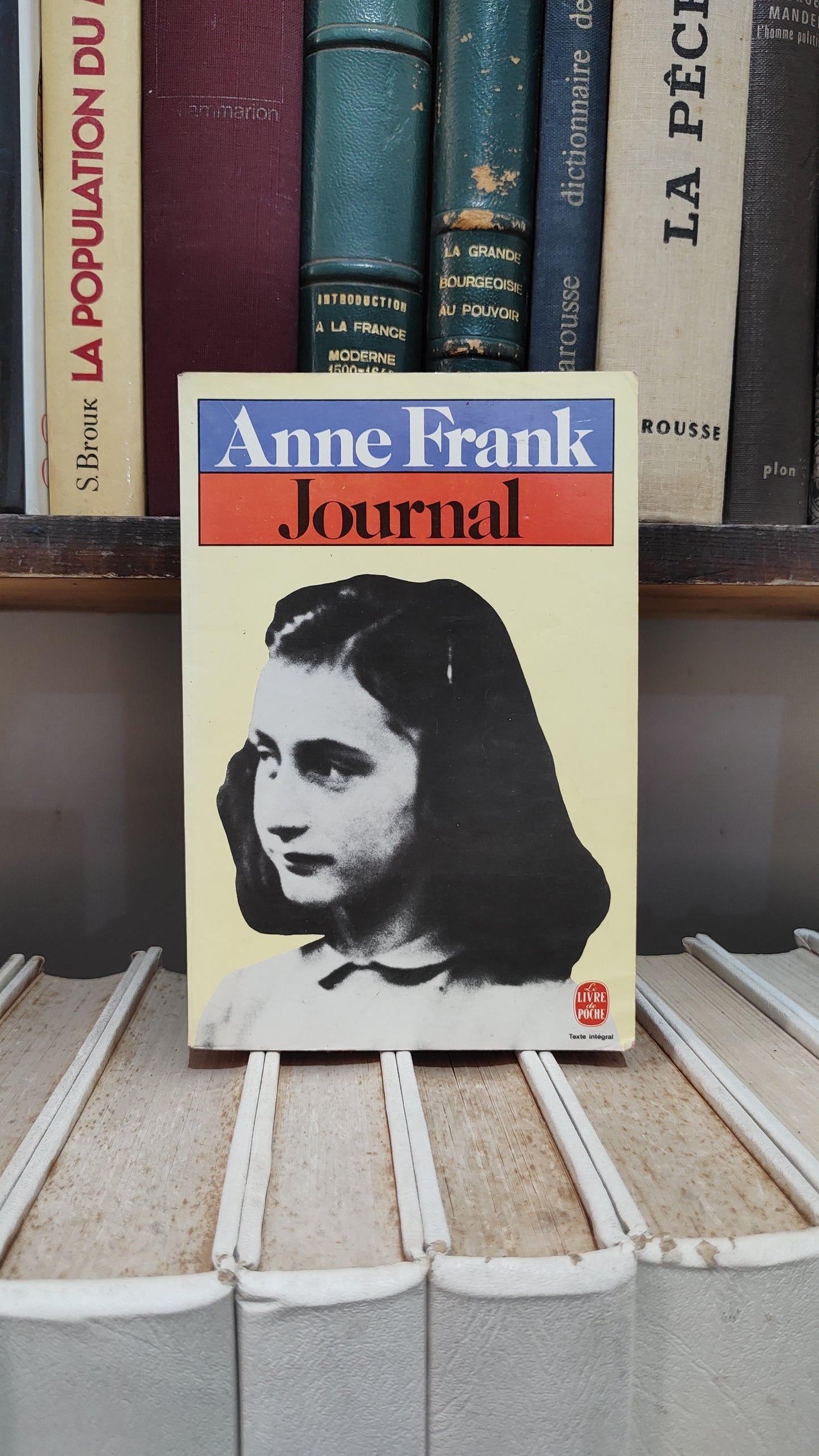 Frank - Journal