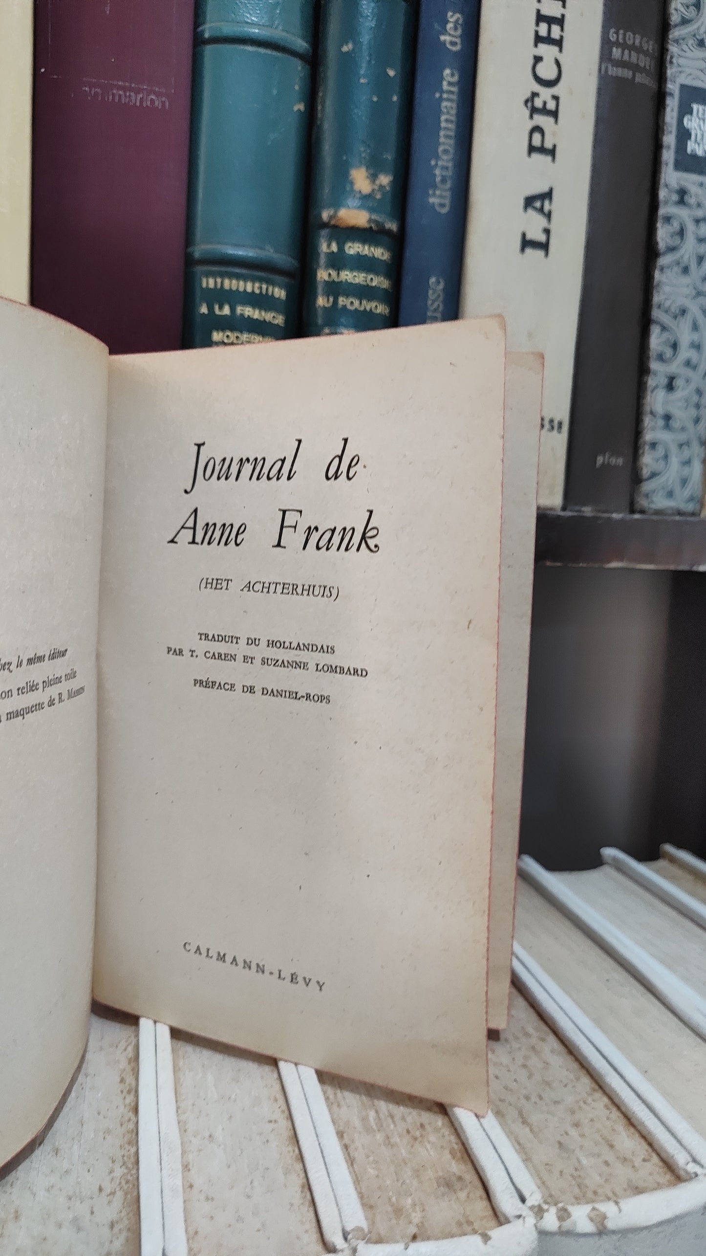 Frank - Journal