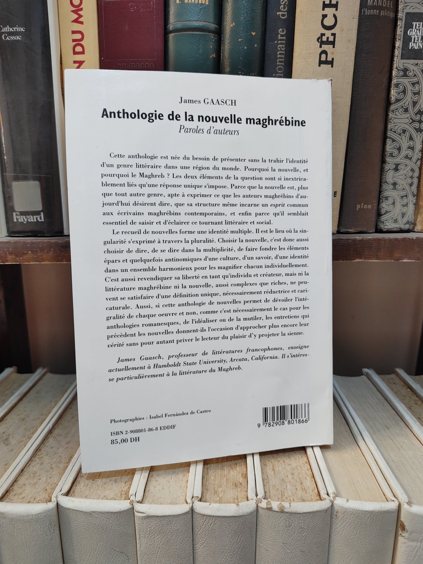 Gaasch - Anthologie de la nouvelle maghrébine