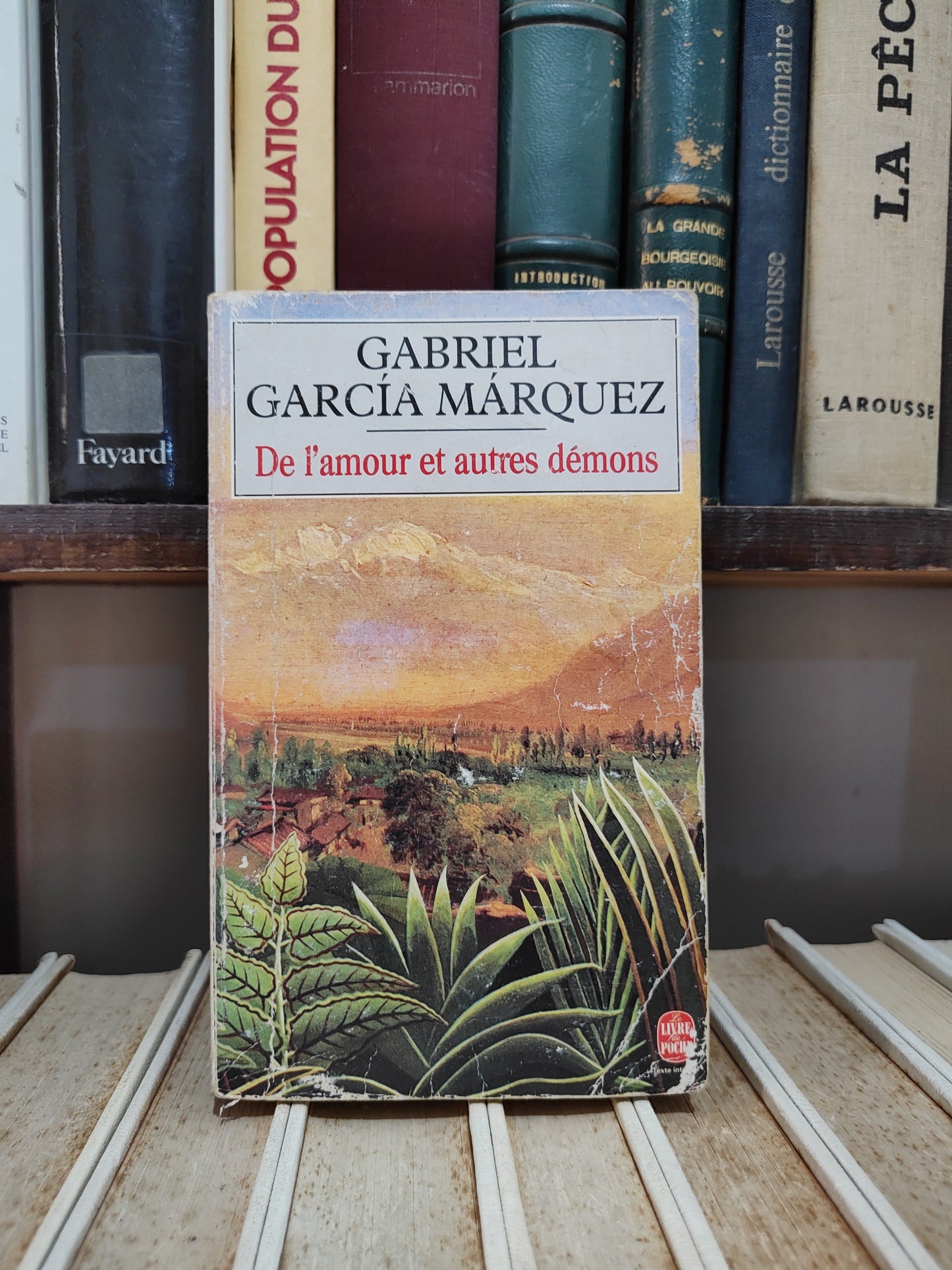 Garcia - De l'amour et d'autres démons