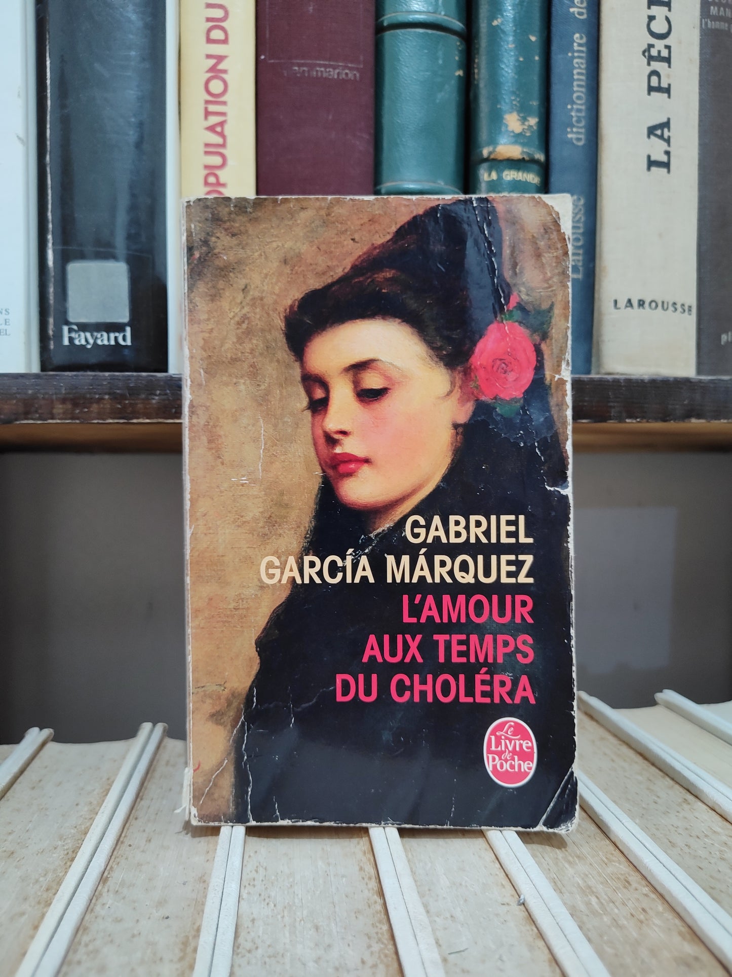Garcia - L'amour aux temps du choléra