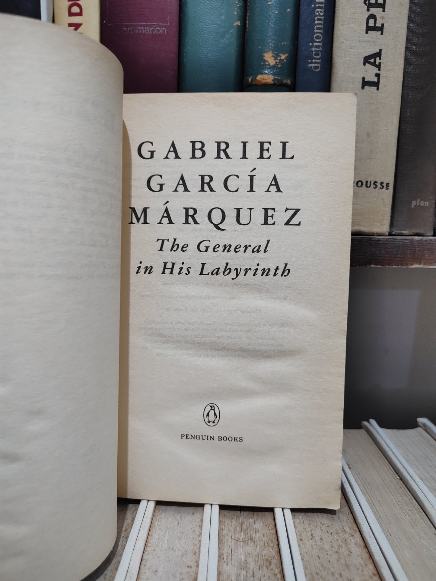 Garcia - The General in His Labyrinth