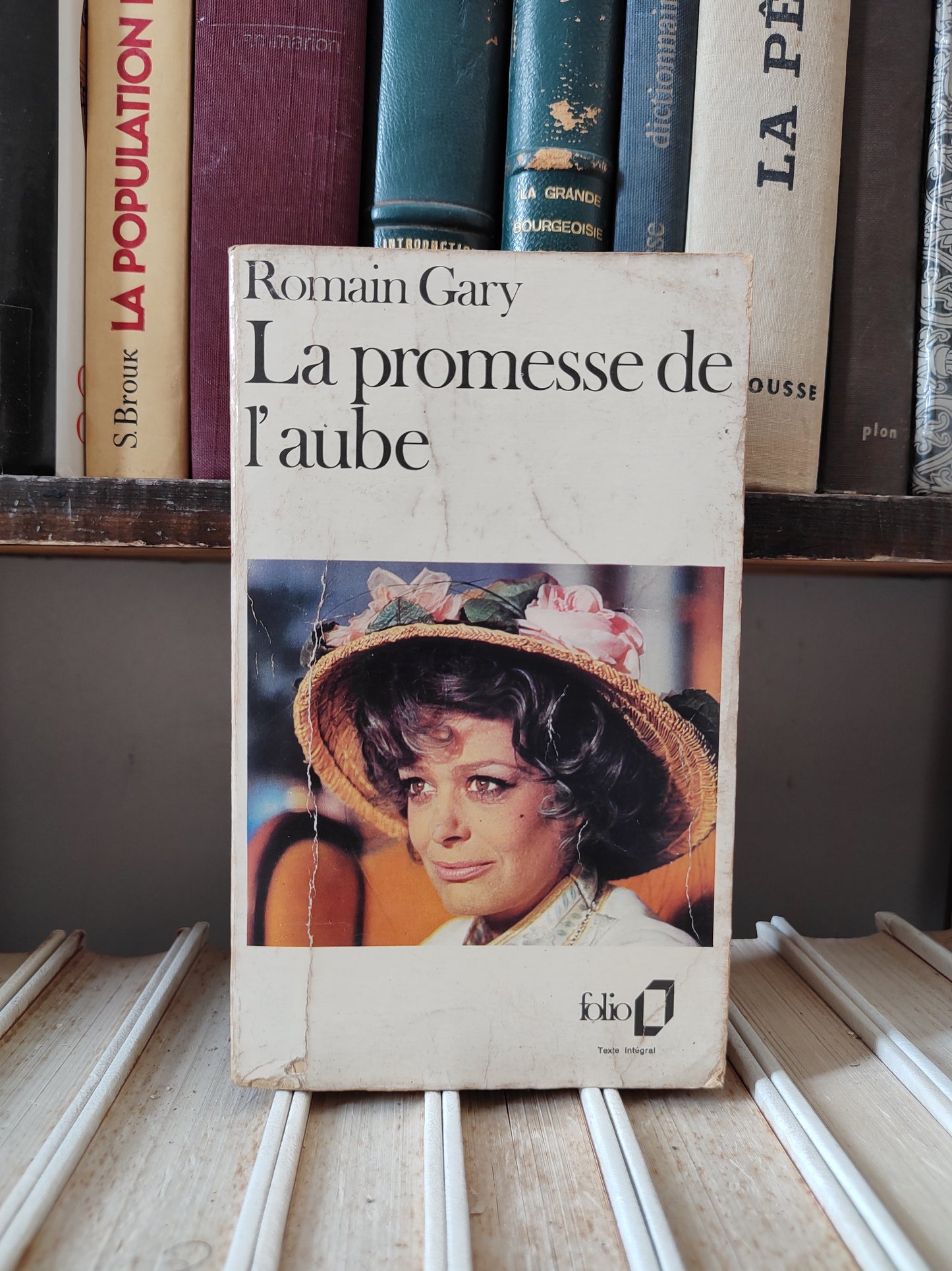 Gary - La promesse de l'aube