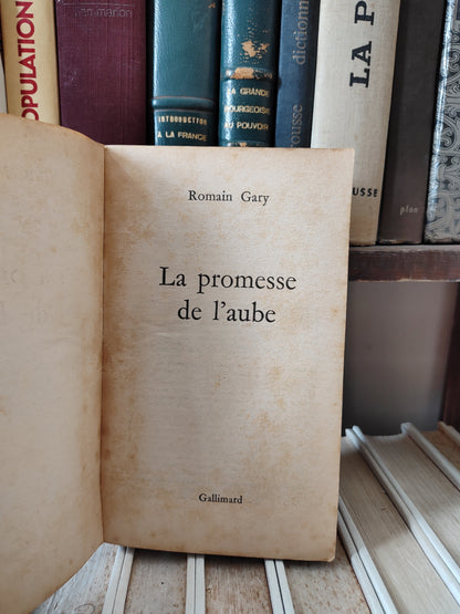 Gary - La promesse de l'aube