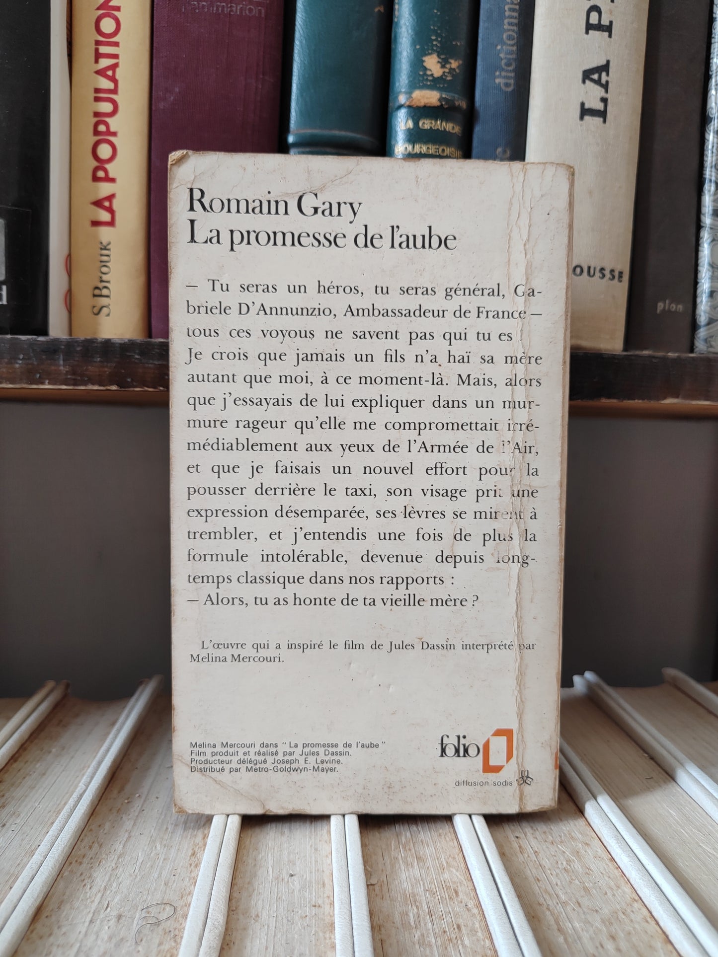 Gary - La promesse de l'aube