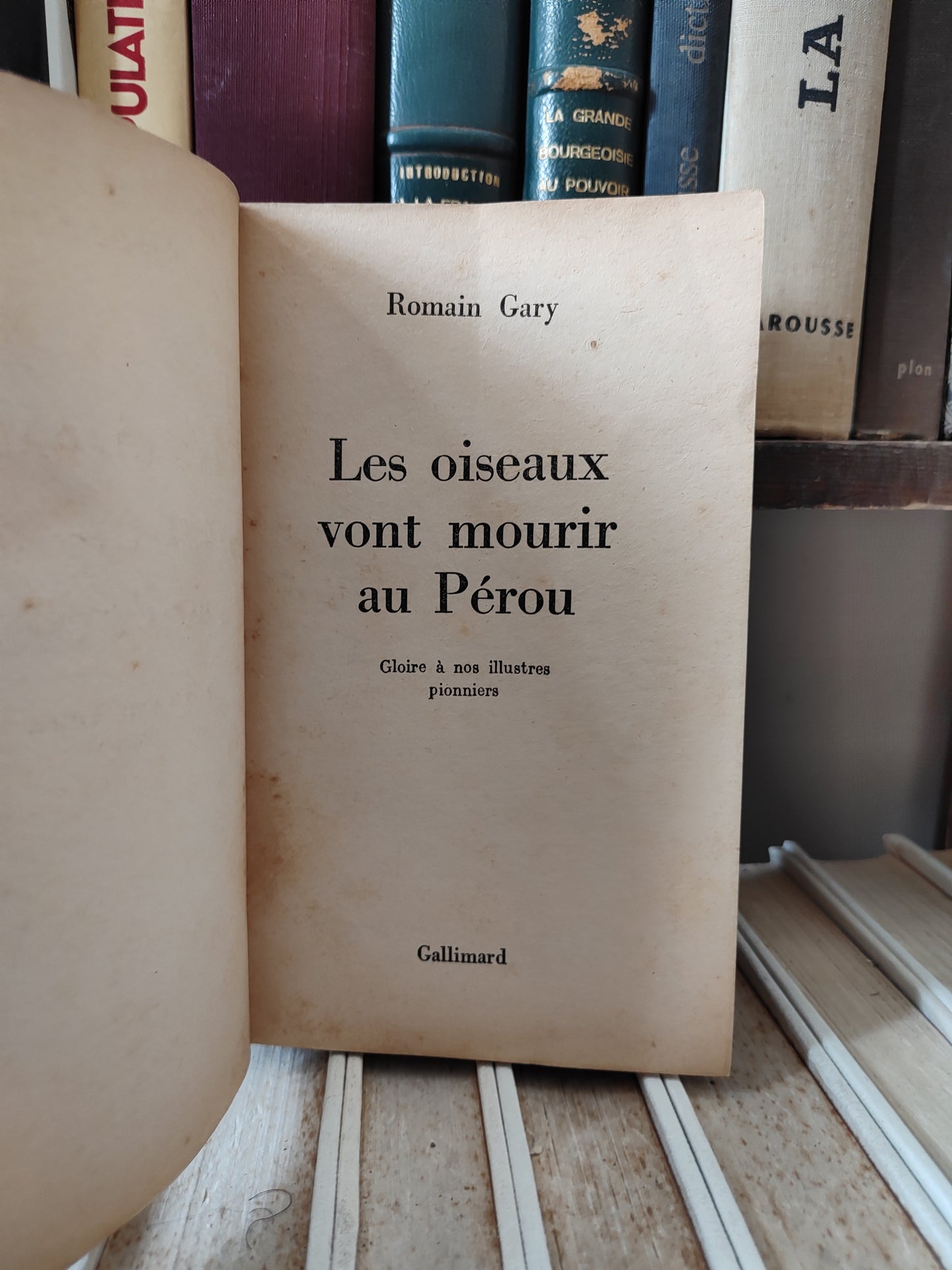 Gary - Les oiseaux vont mourir au Pérou
