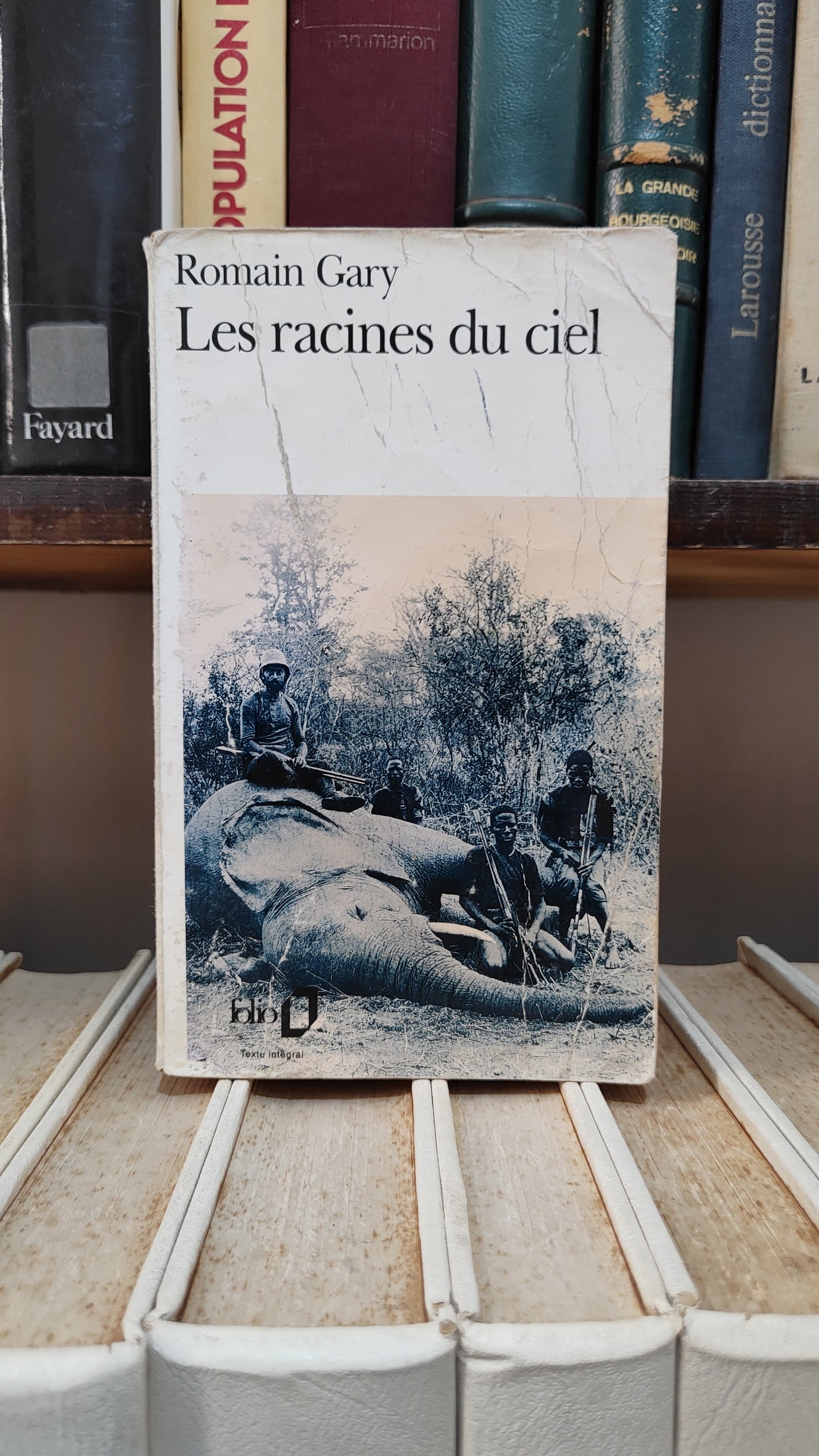 Gary - Les racines du ciel