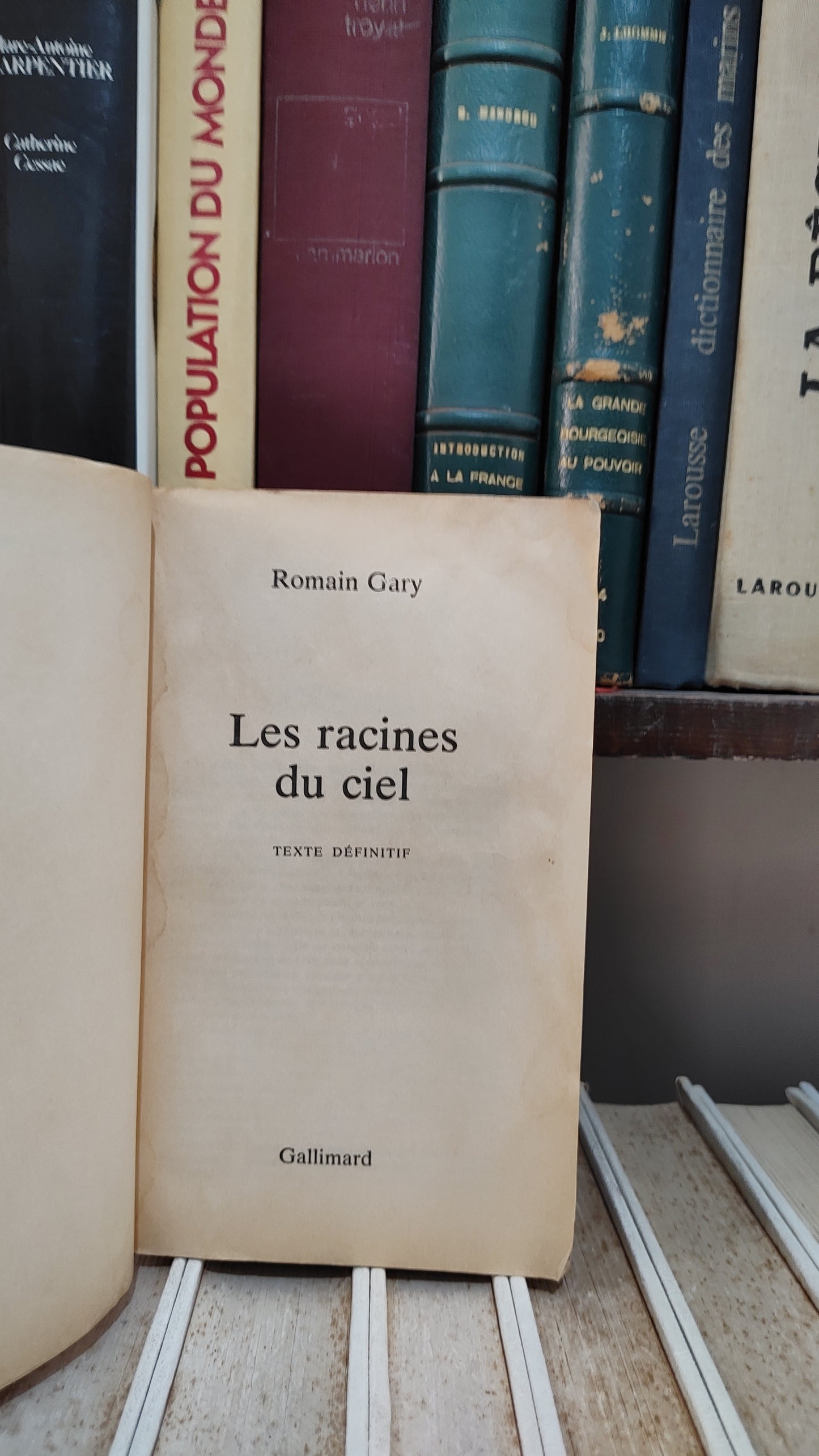 Gary - Les racines du ciel