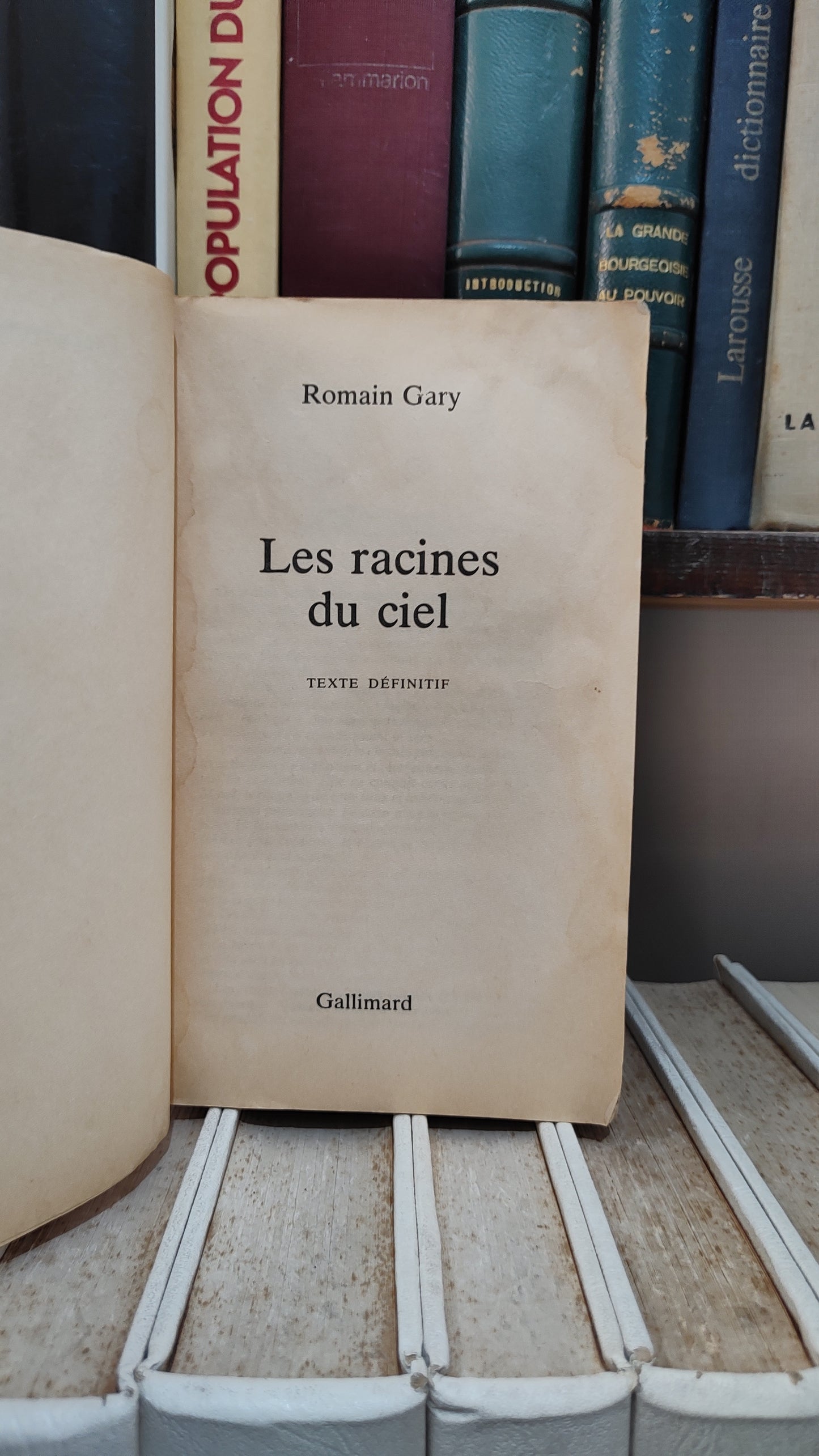 Gary - Les racines du ciel