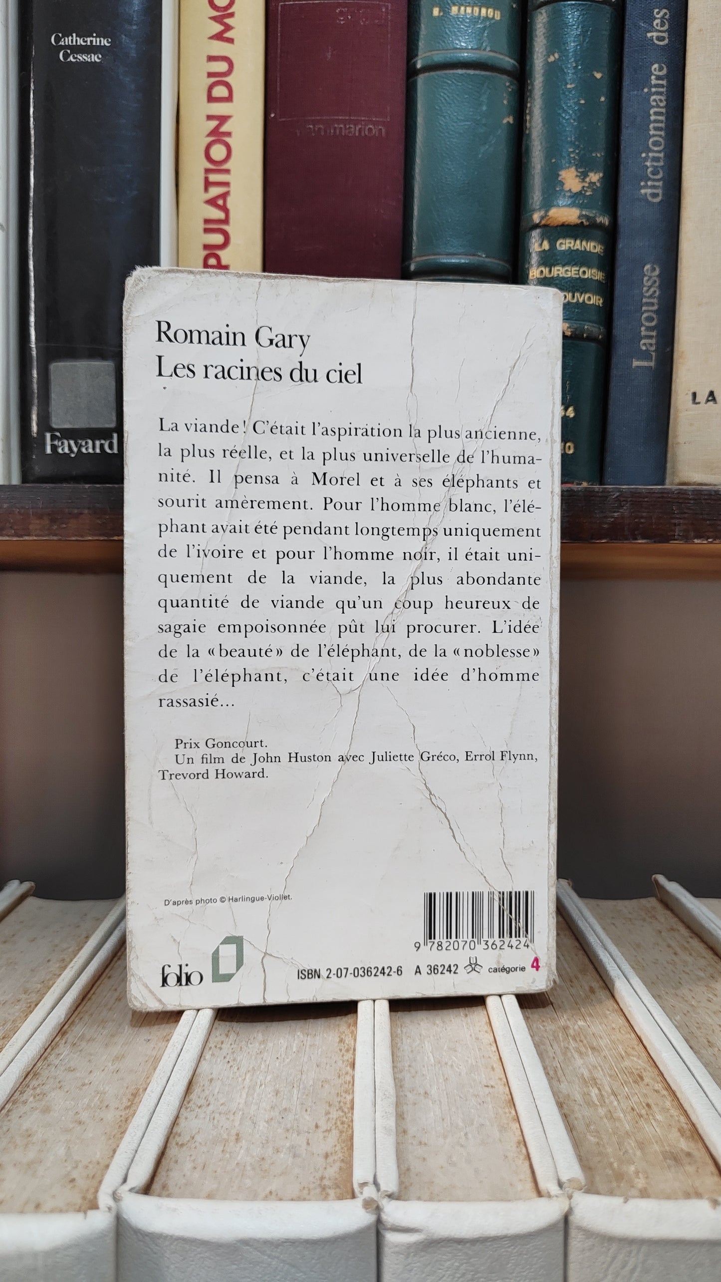 Gary - Les racines du ciel
