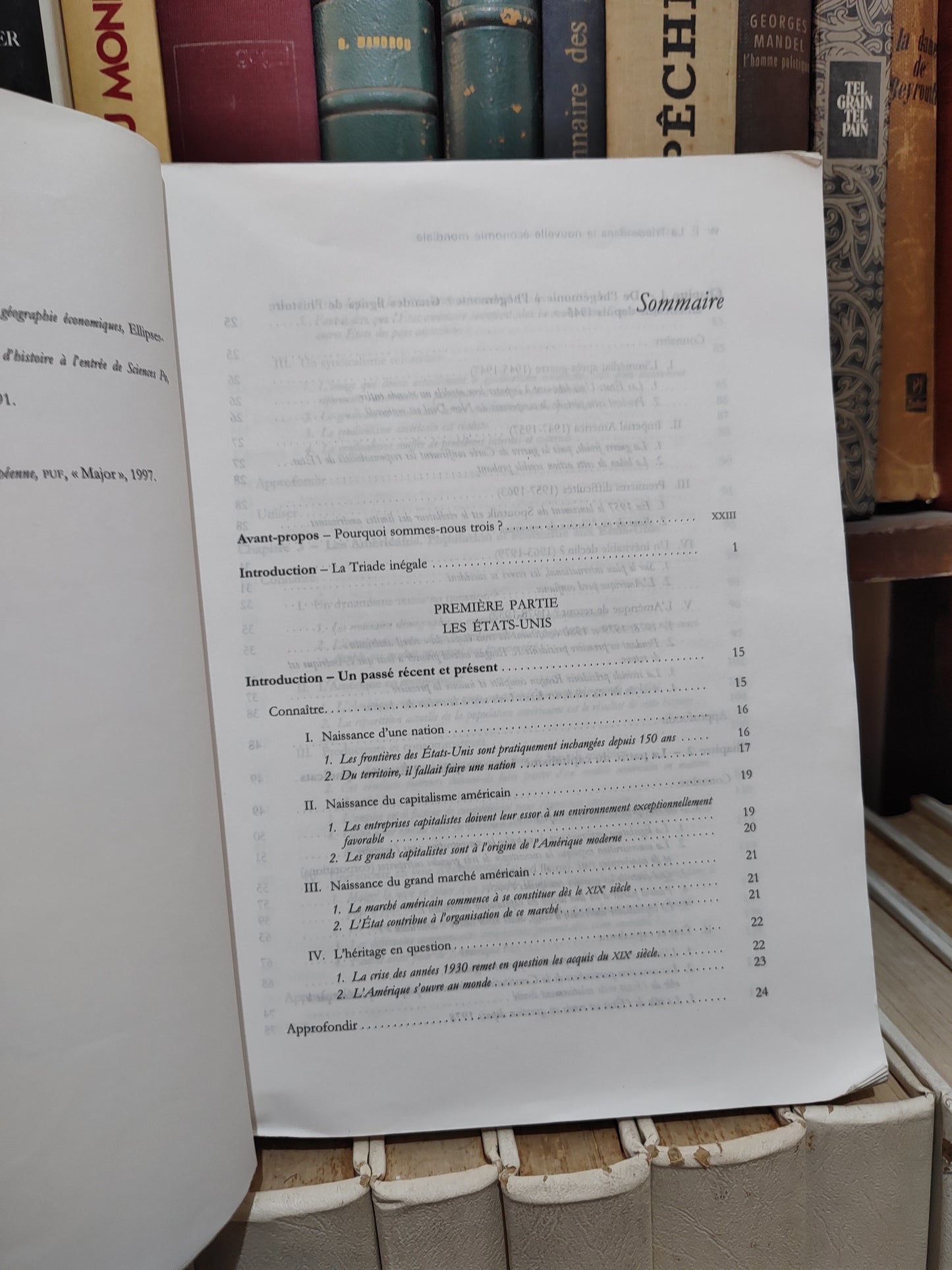 Gaucbon - La triade dans la nouvelle économie mondiale