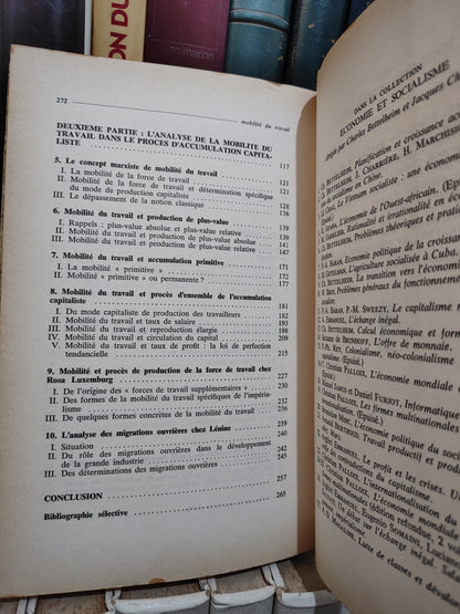 Gaudemar - Mobilité du travail et accumulation du capital ; économie et socialisme