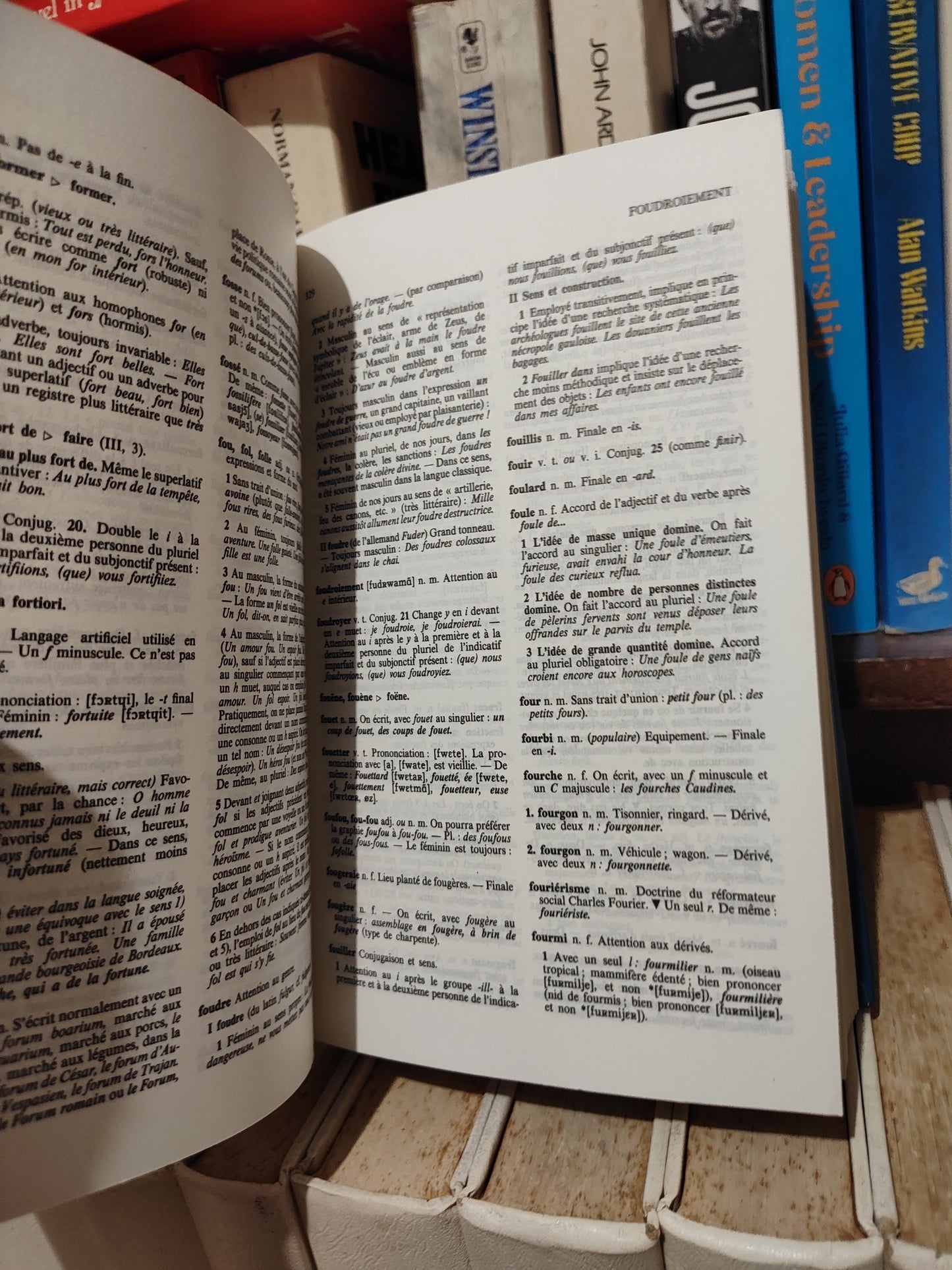 Girodet - Dictionnaire bordas Pièges et difficultés de la langue française