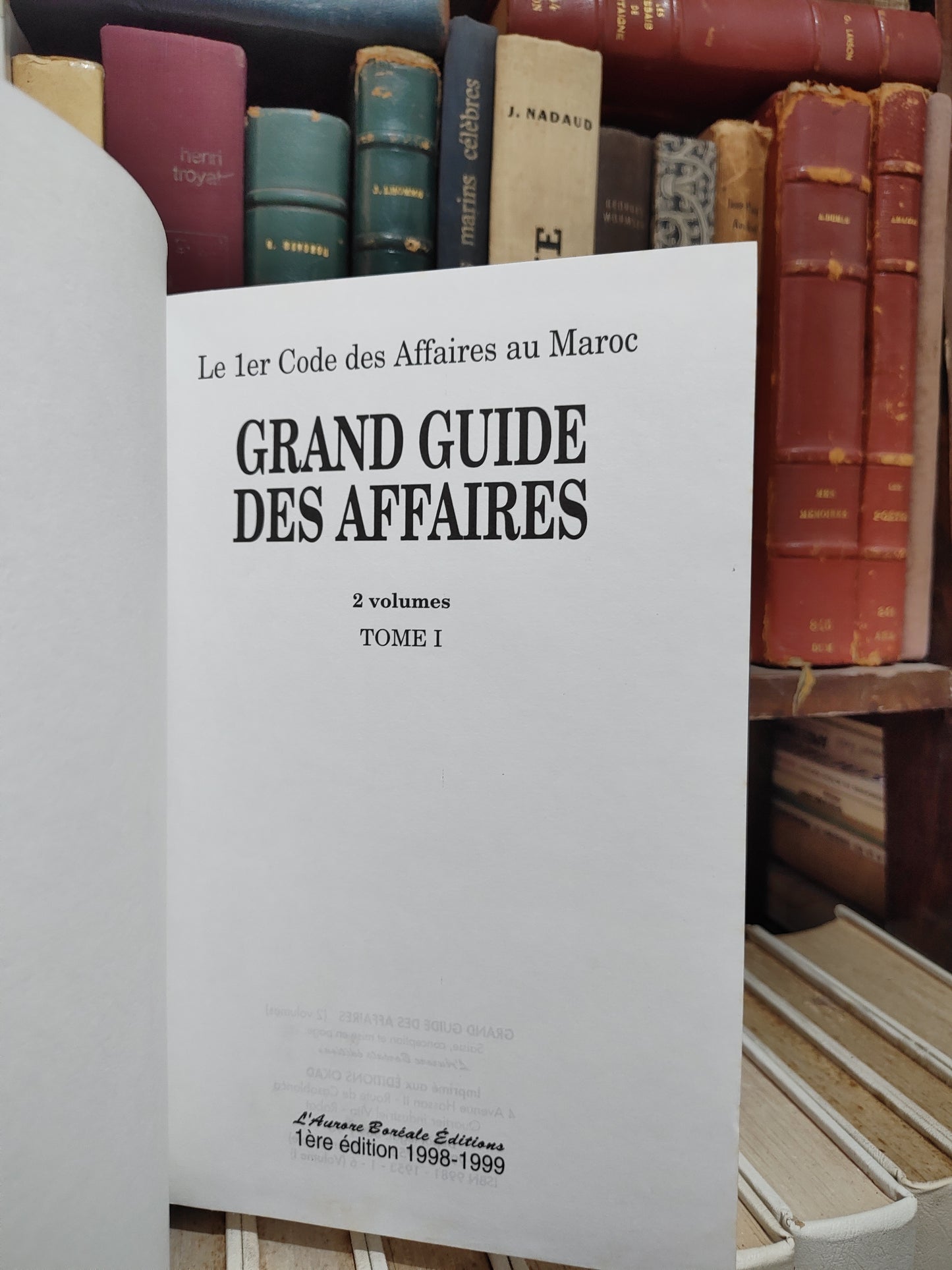 Grand guide des affaires Tome 1