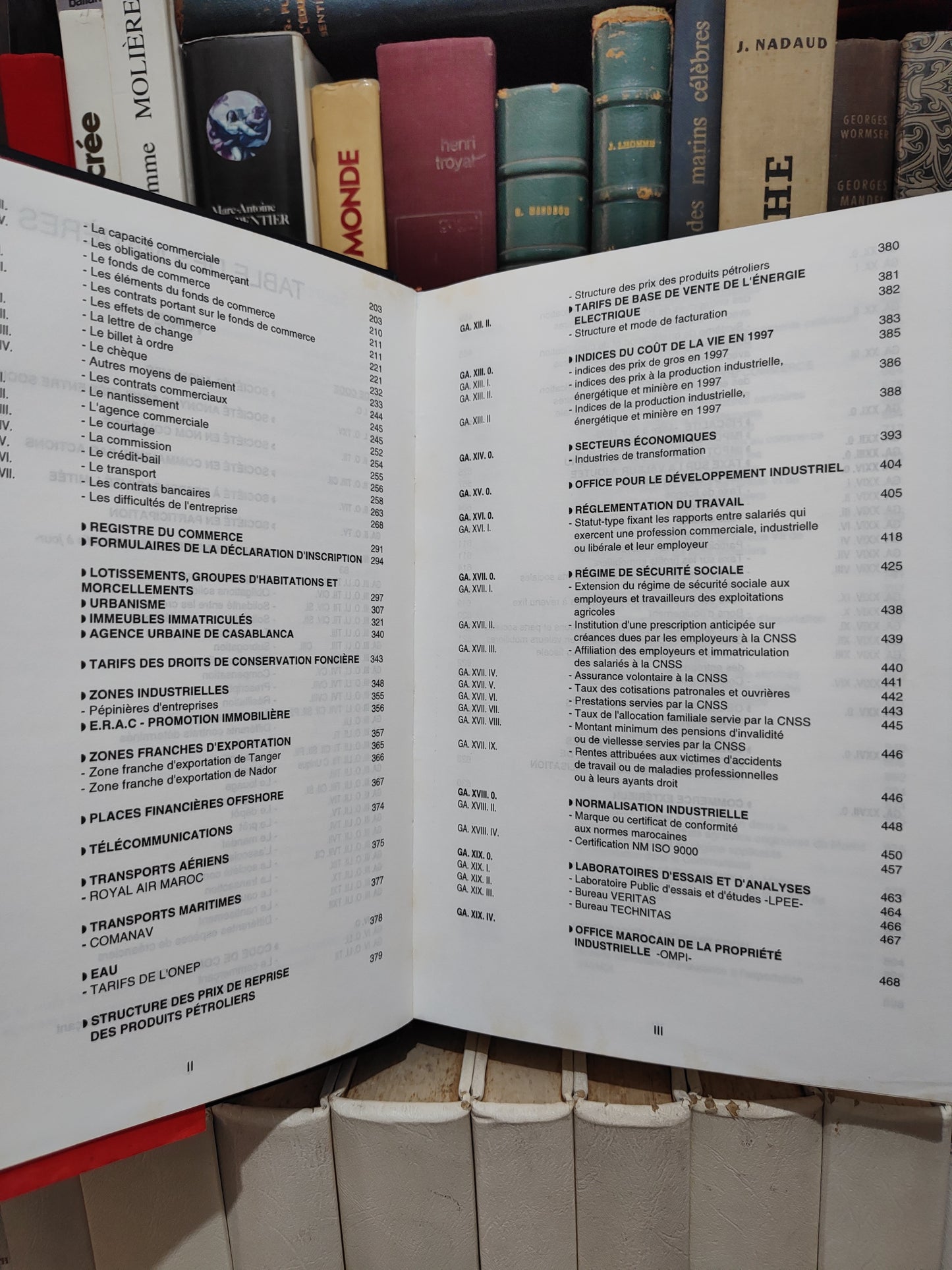 Grand guide des affaires Tome 1