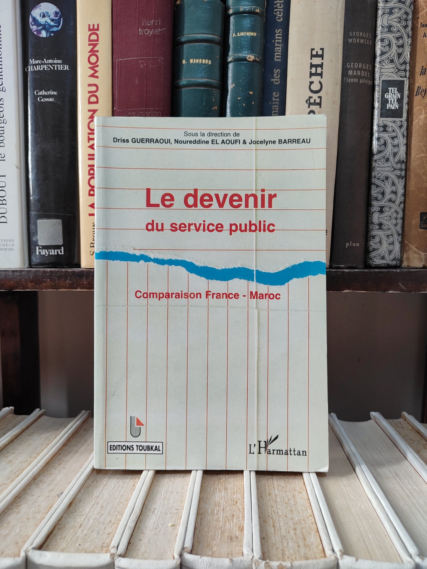 Guerraoui - Le devenir du service public