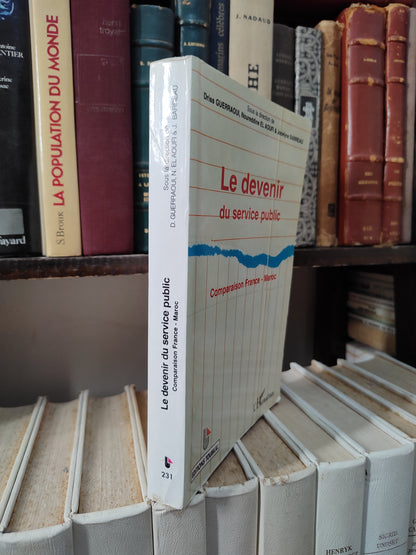 Guerraoui - Le devenir du service public