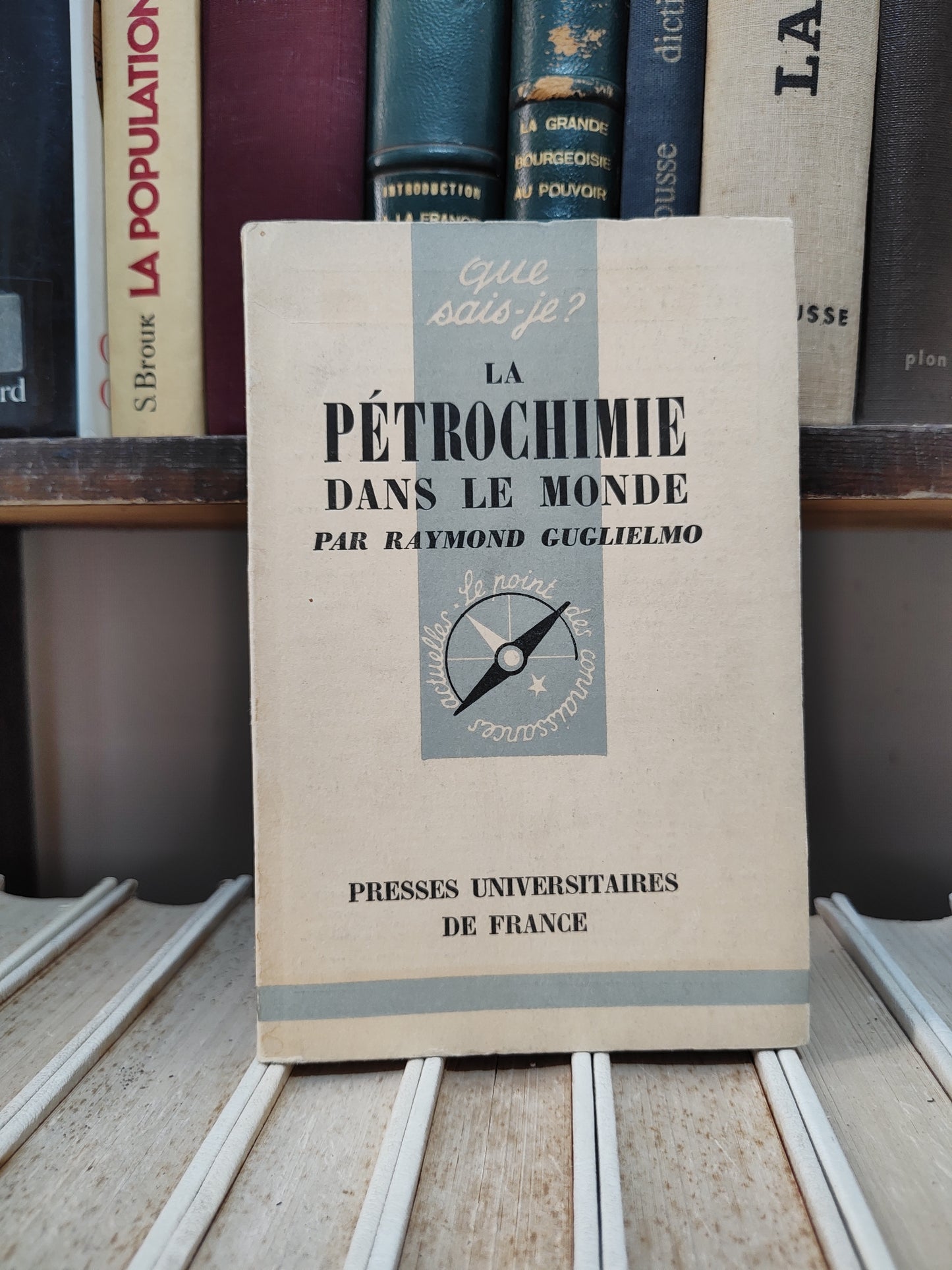 Guglielmo - La pétrochimie dans le monde