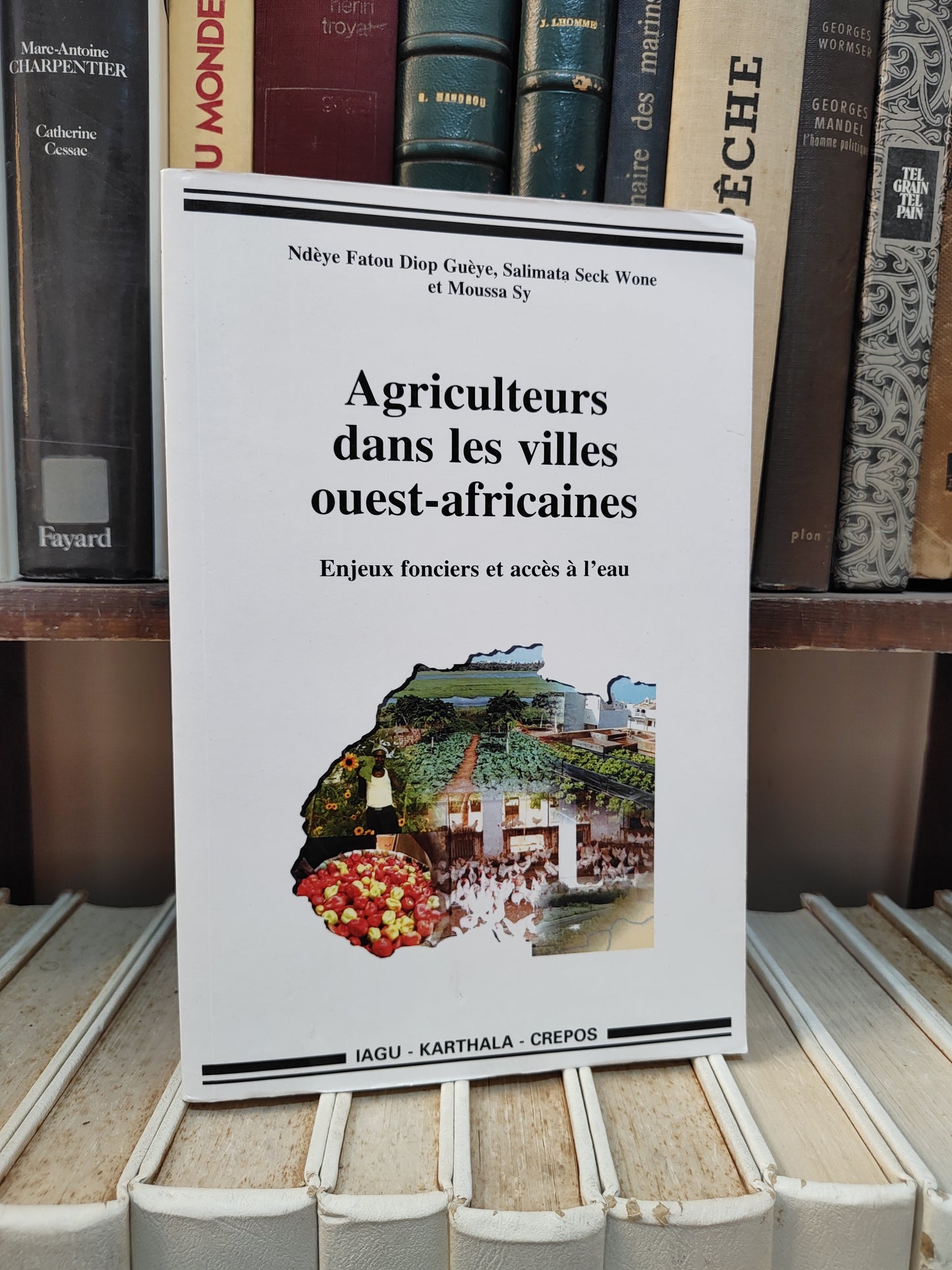 Guyèe - Agriculteurs dans les villes ouest africaines ; enjeux fonciers et accès à l'eau