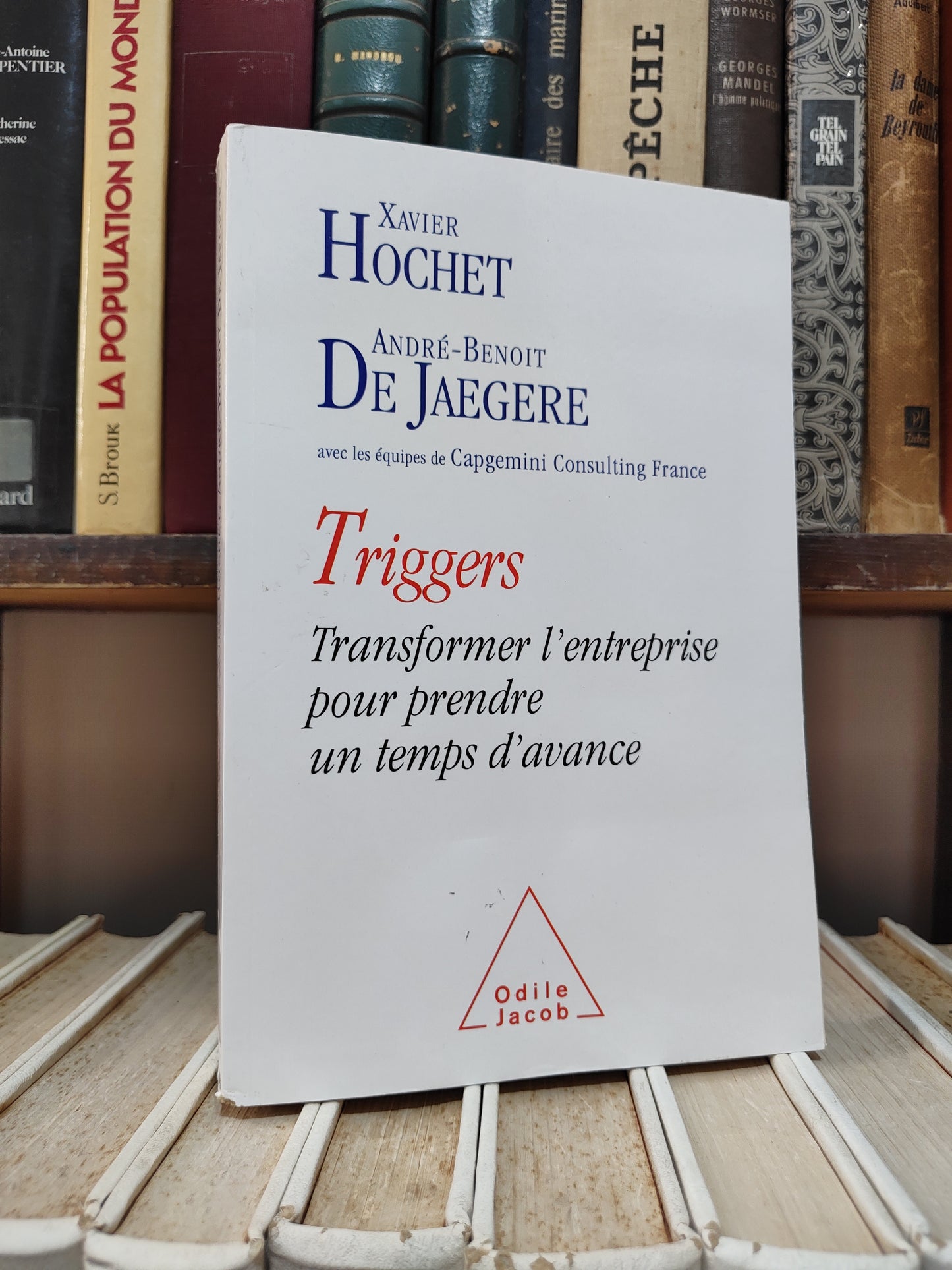 Hochet - Triggers : Transformer l'entreprise pour prendre un temps d'avance