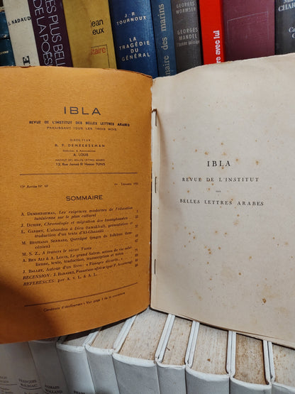 IBIA Institut des belles lettres arabes N 49