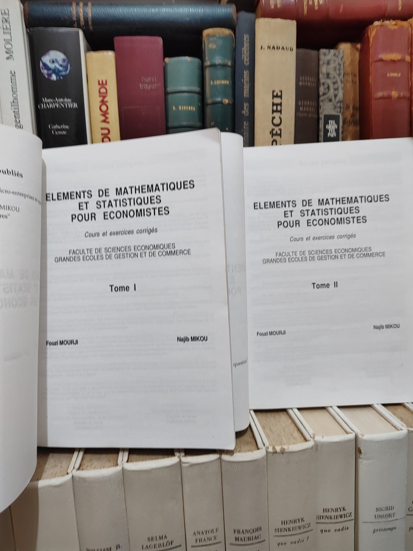 Mourij - Éléments de mathématiques et statistiques pour économistes