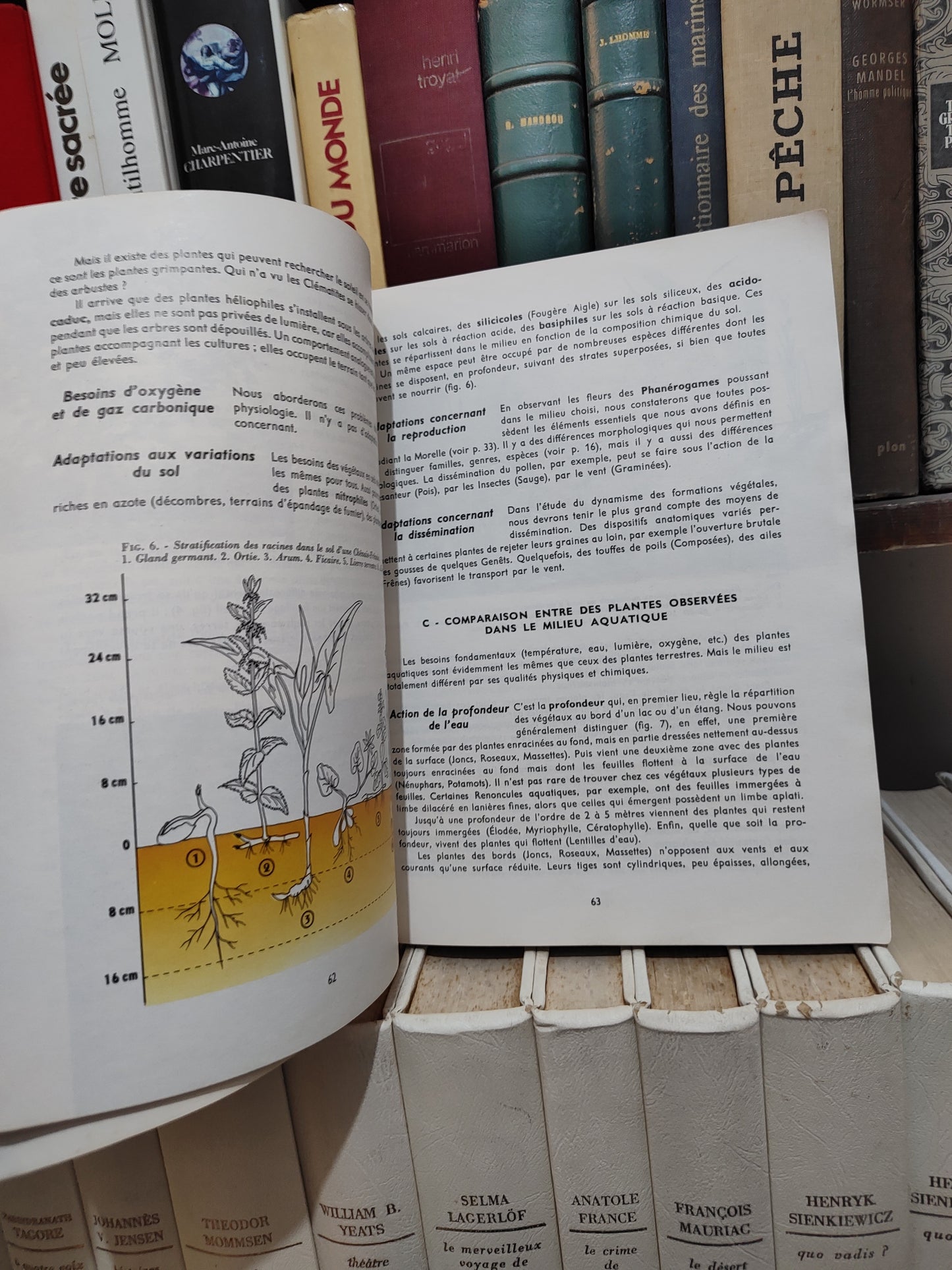 Sciences naturelles écologie géologie physiologie 1er D