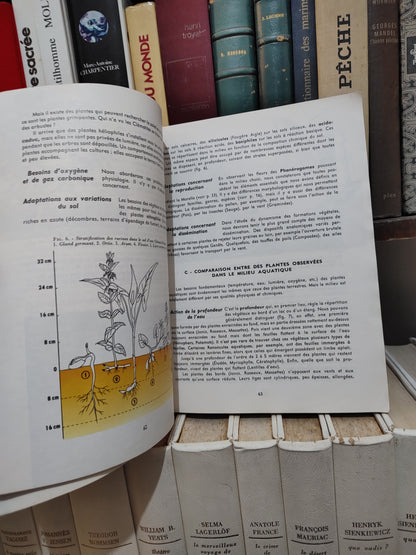 Sciences naturelles écologie géologie physiologie 1er D