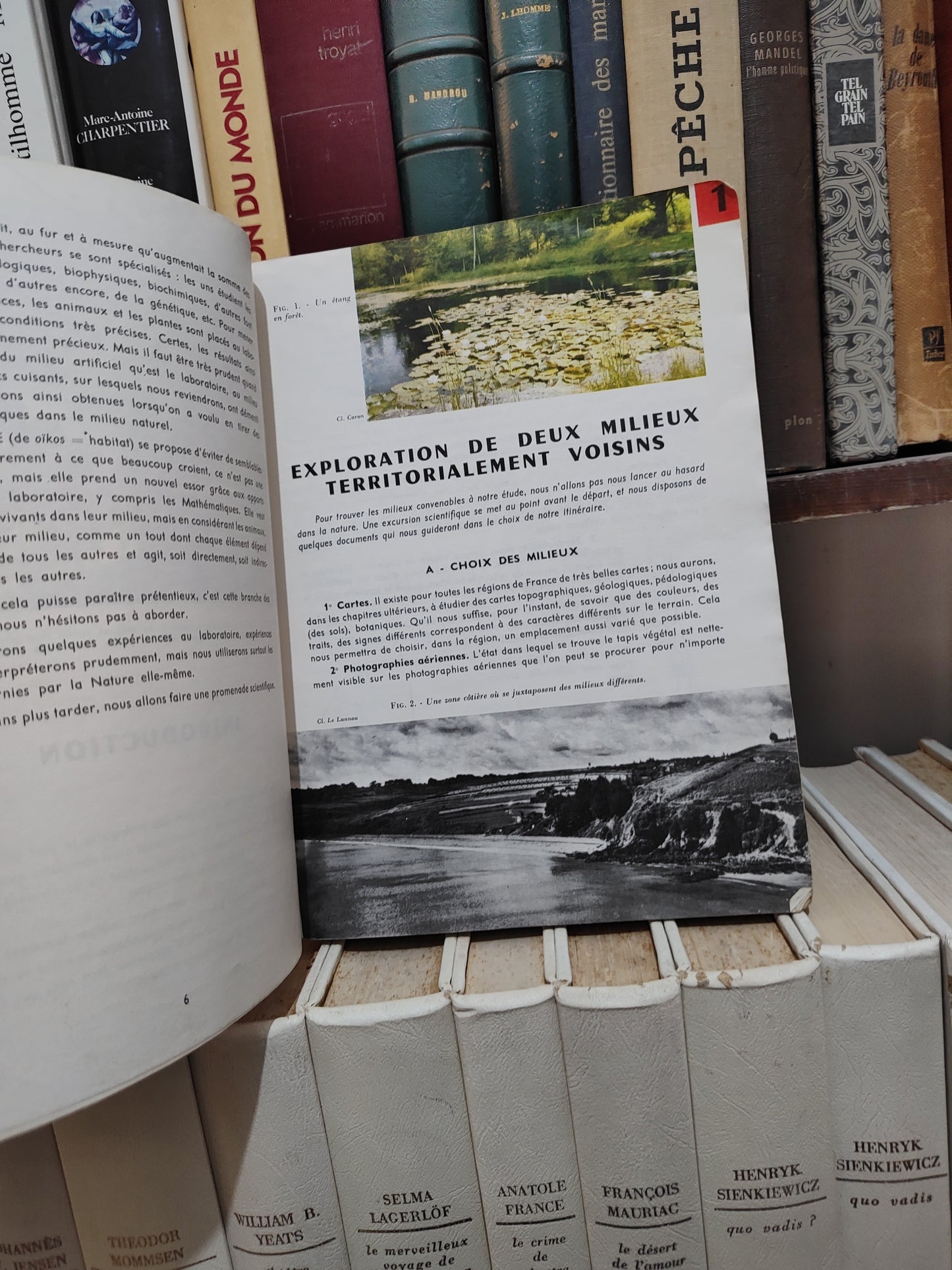 Sciences naturelles écologie géologie physiologie 1er D