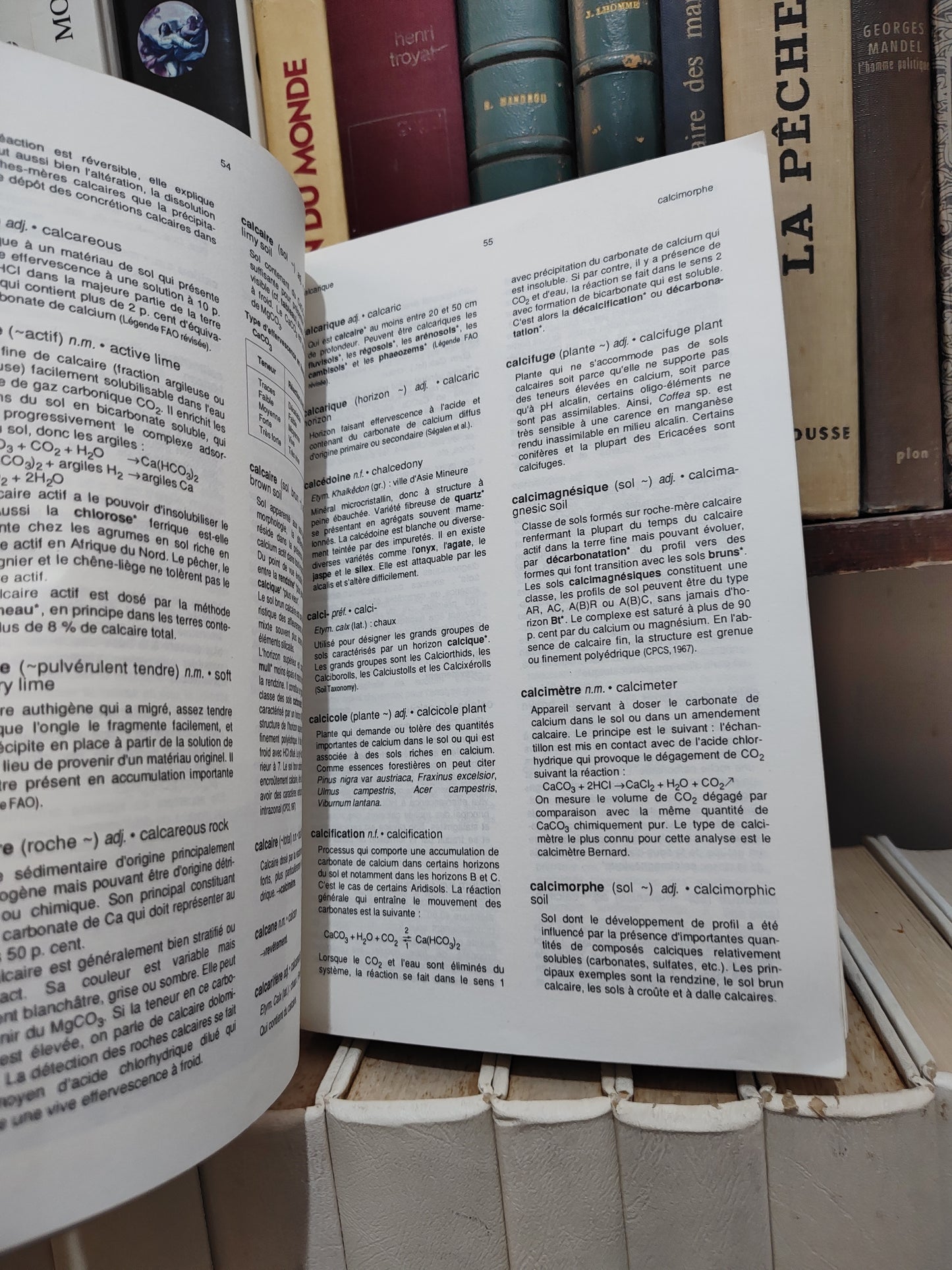 Lozet - Dictionnaire de science du sol