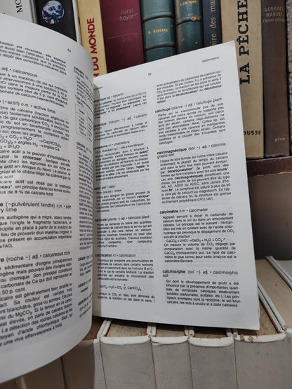 Lozet - Dictionnaire de science du sol