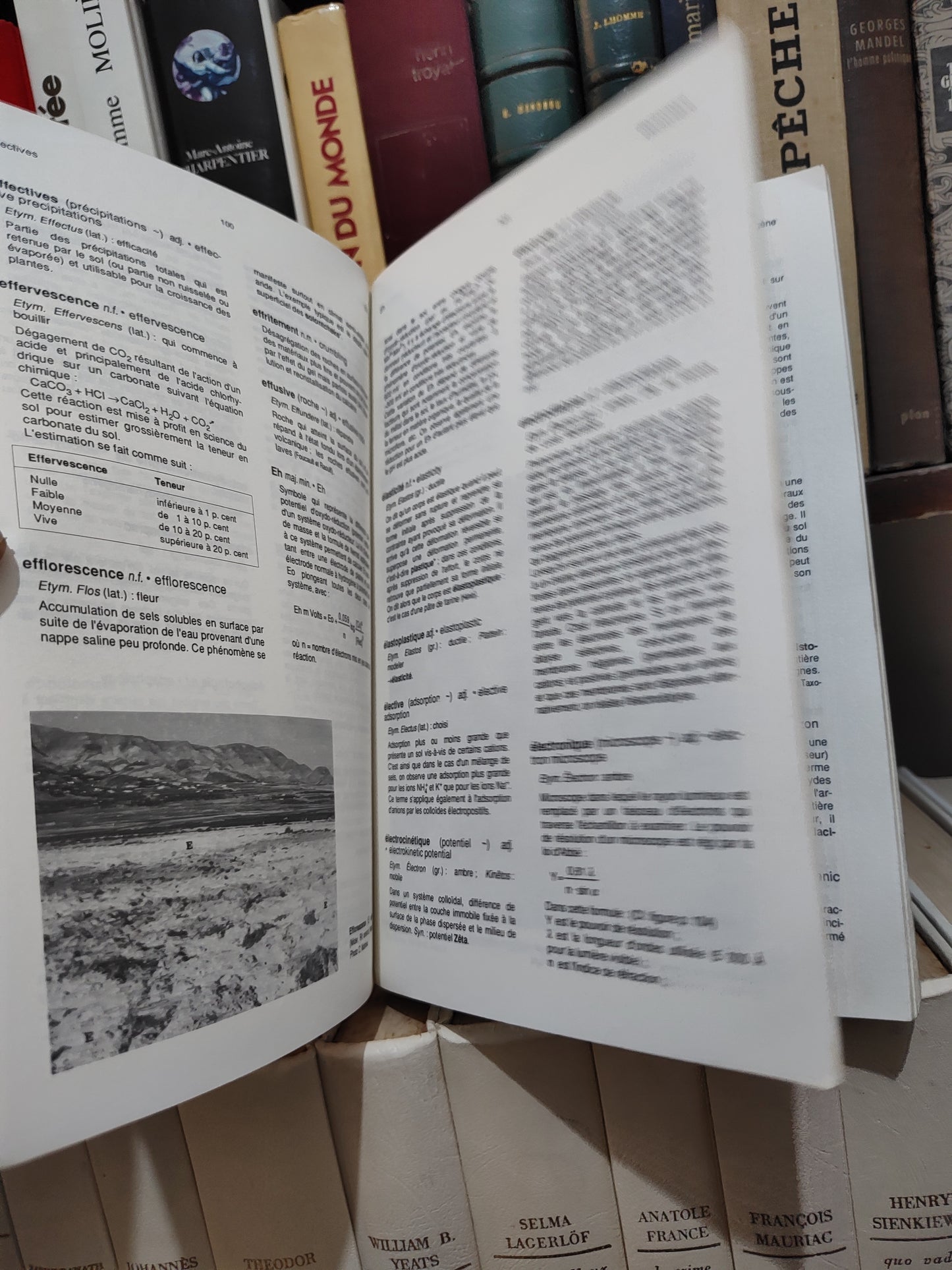 Lozet - Dictionnaire de science du sol