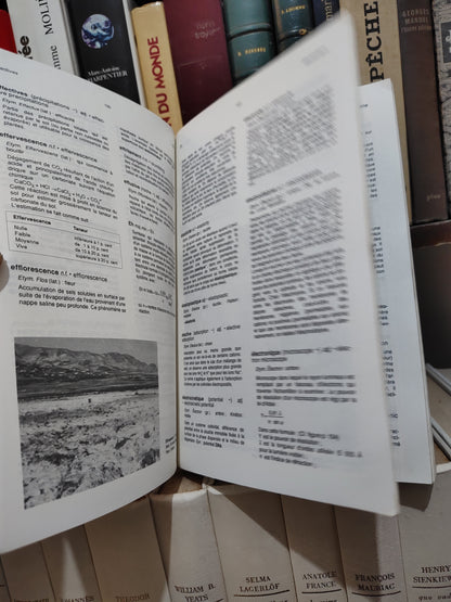 Lozet - Dictionnaire de science du sol