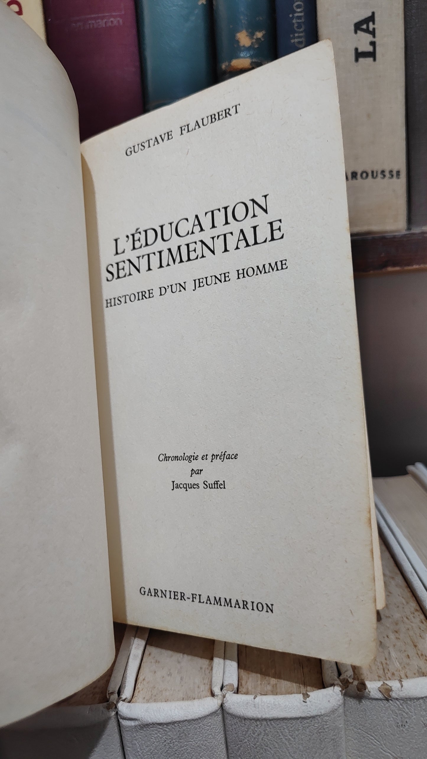 Flauber - L'éducation sentimentale