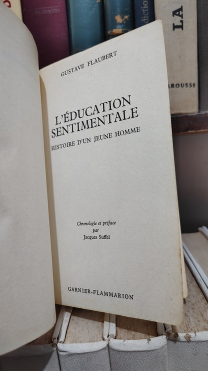 Flauber - L'éducation sentimentale