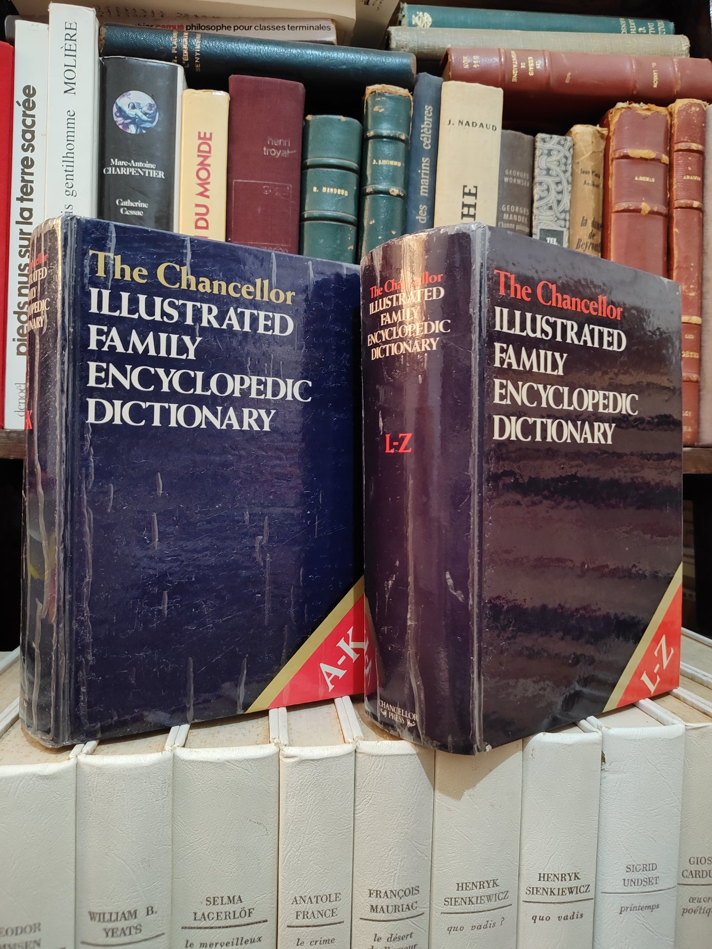 The Chancellor Illustrated Encyclopedic Dictionary