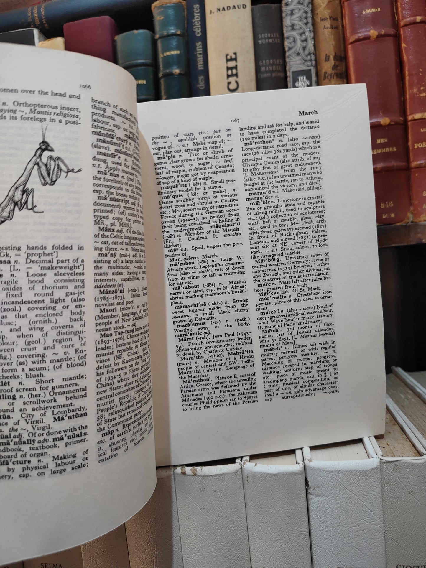 The Chancellor Illustrated Encyclopedic Dictionary