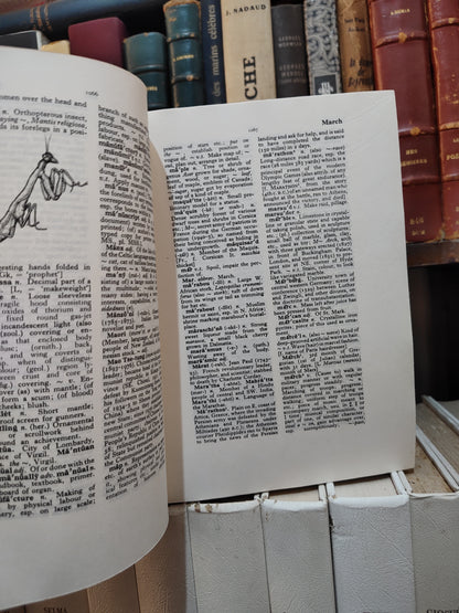 The Chancellor Illustrated Encyclopedic Dictionary