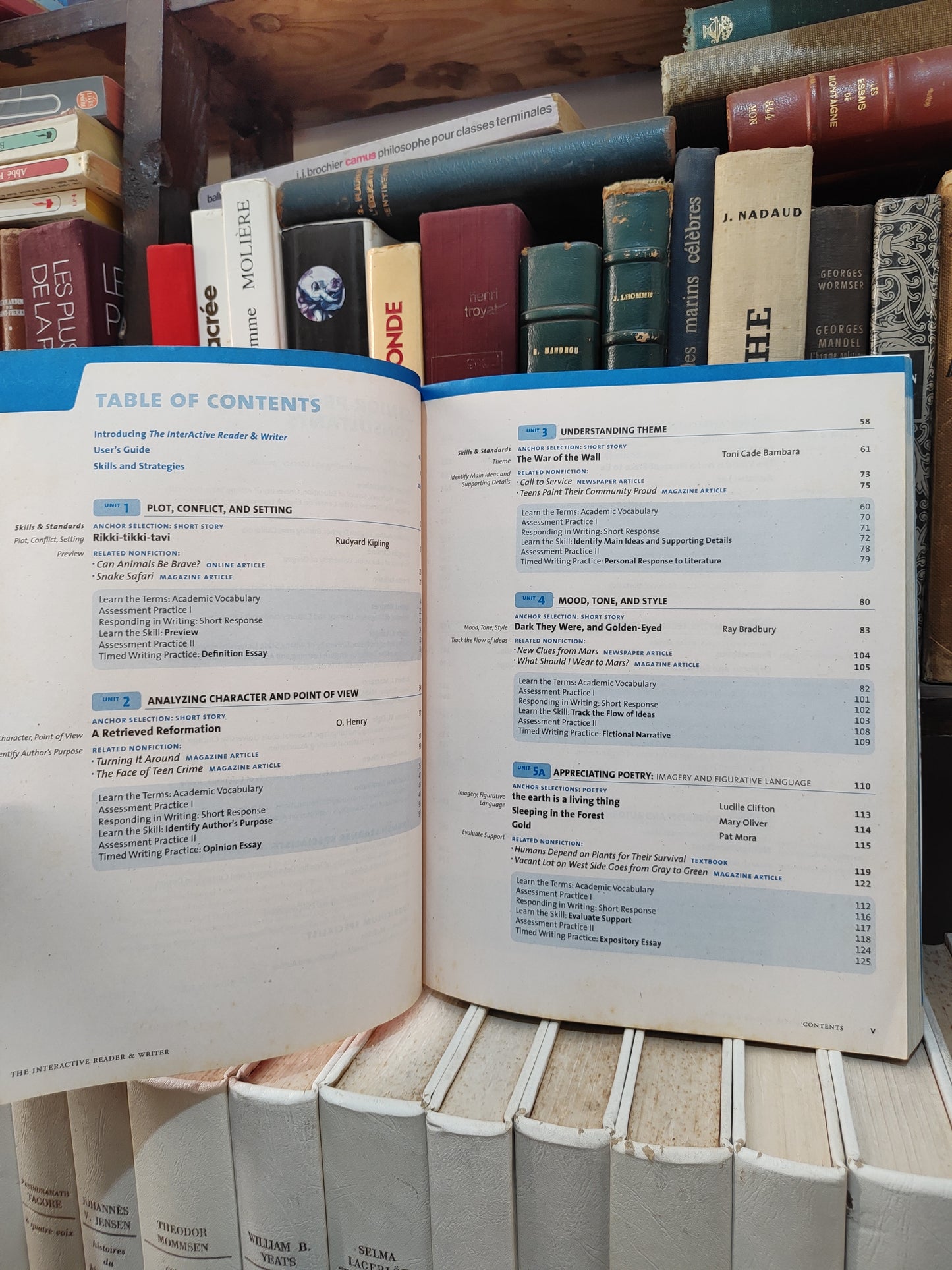 InterActive reader and writer with strategic reading support