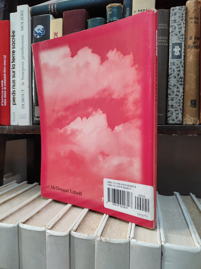 InterActive reader and writer with strategic reading support