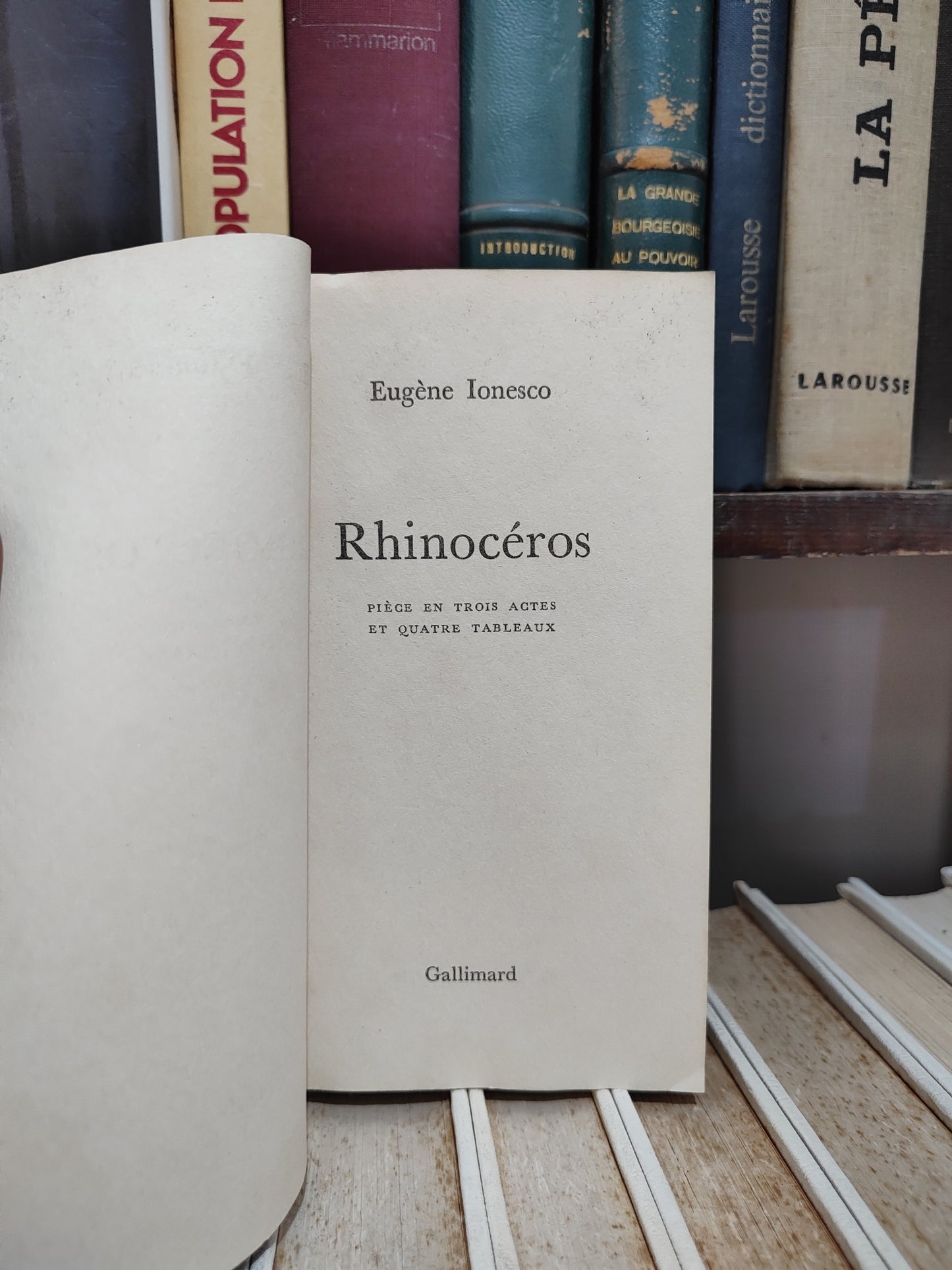 Ionesco - Rhinocéros