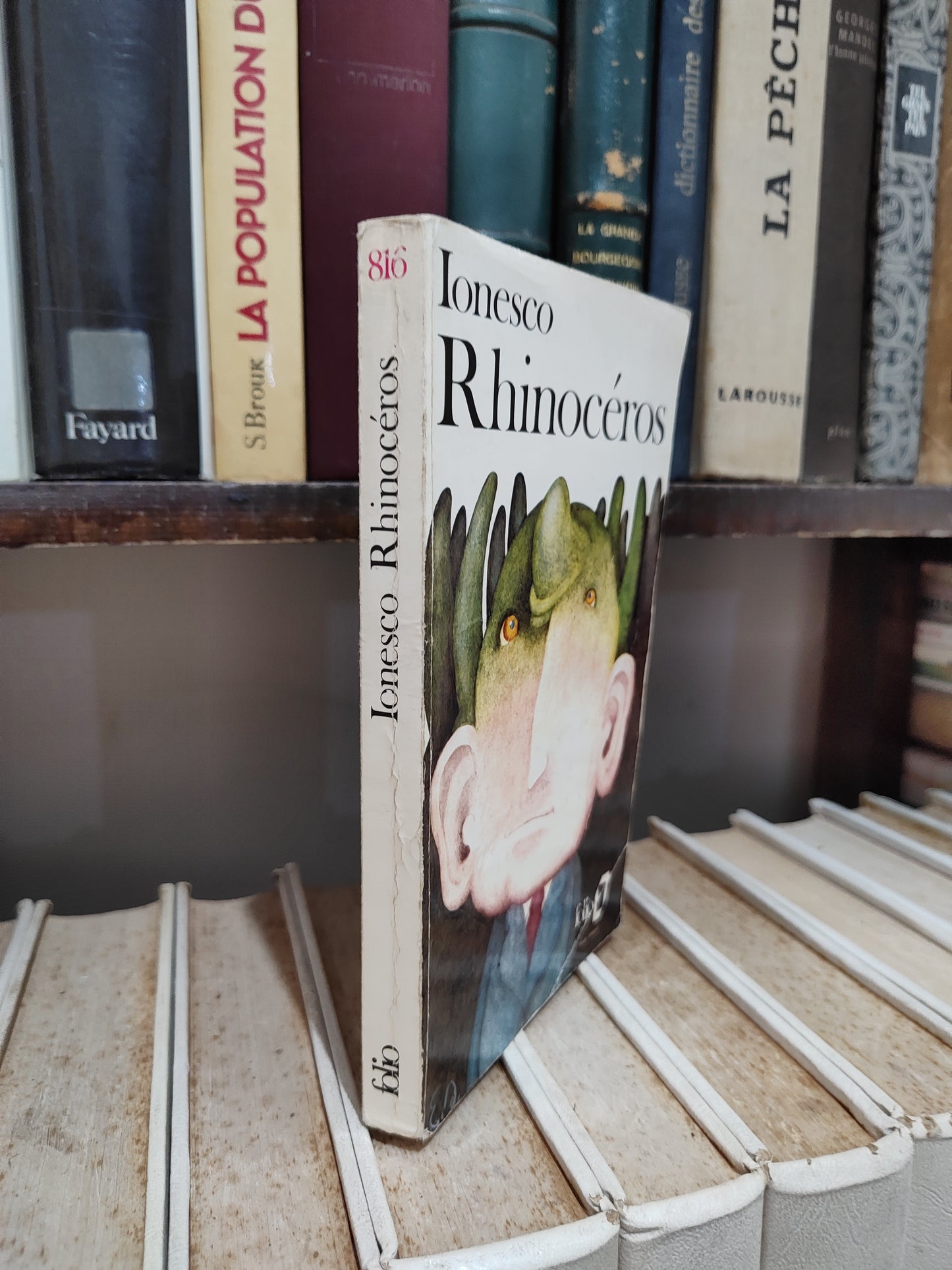 Ionesco - Rhinocéros