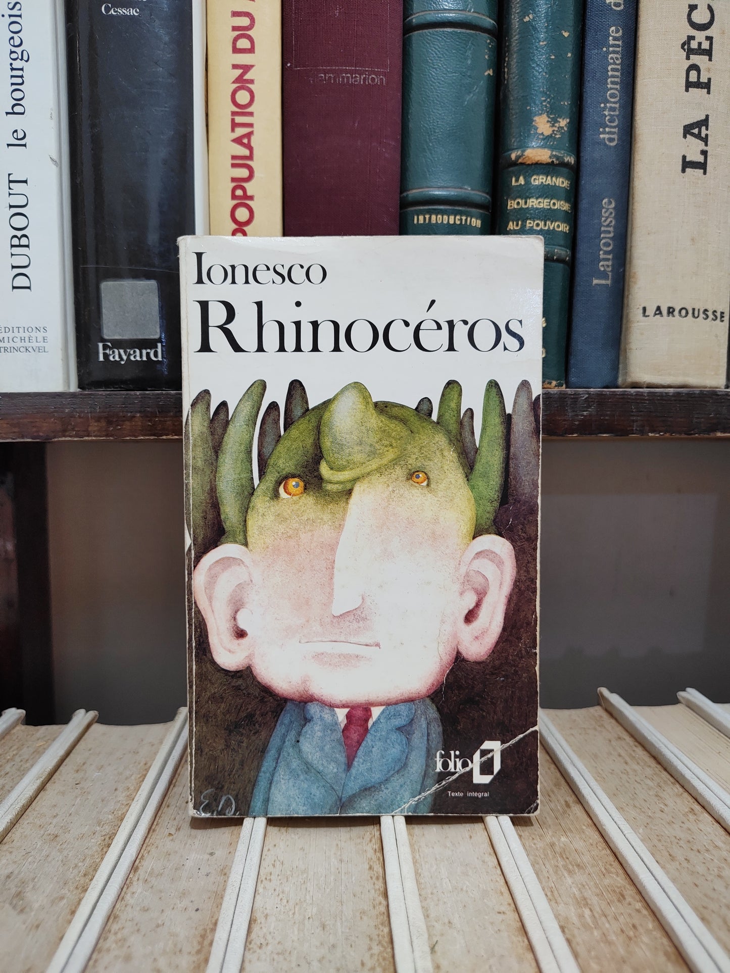 Ionesco - Rhinocéros
