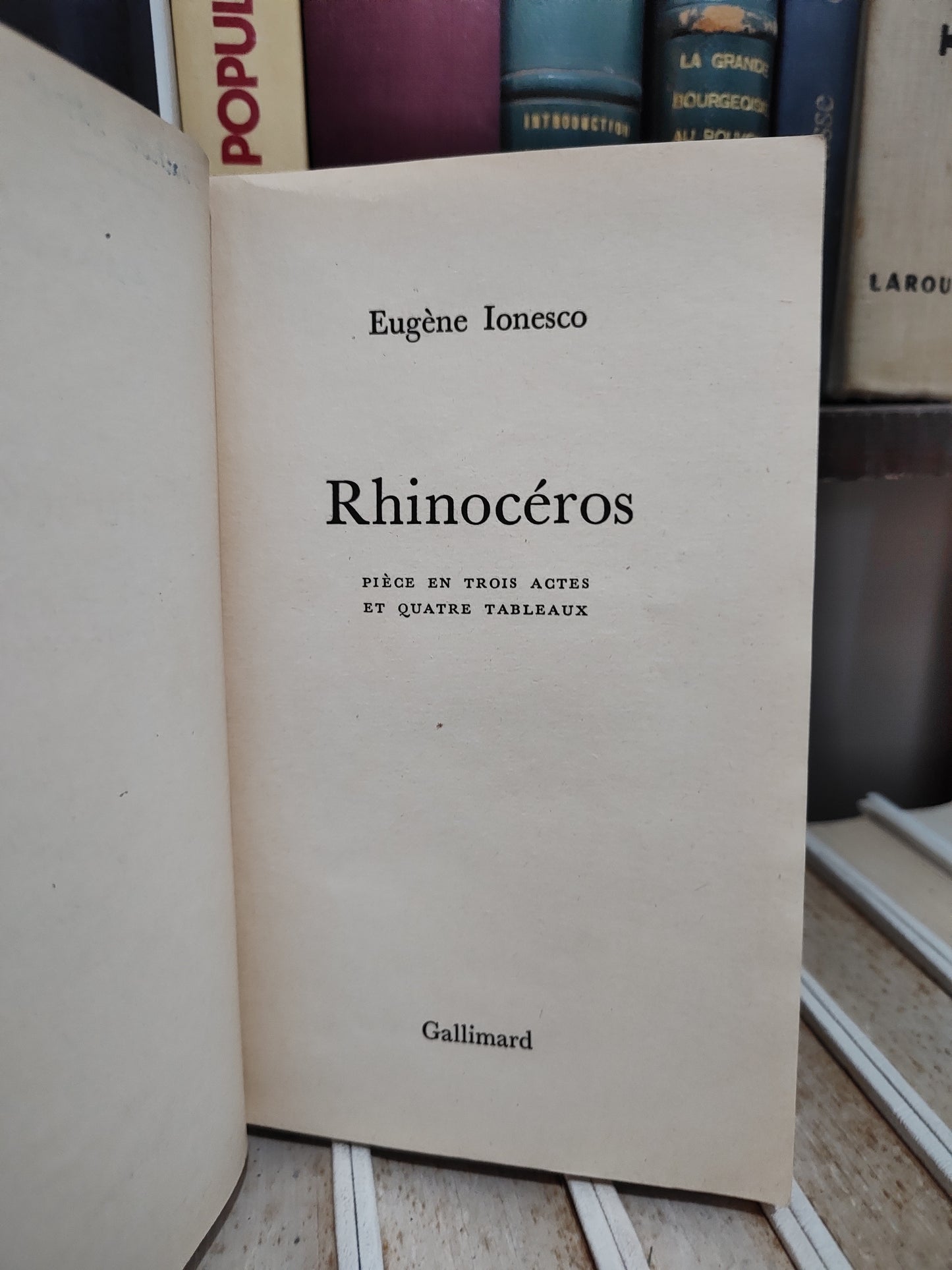 Ionesco - Rhinocéros