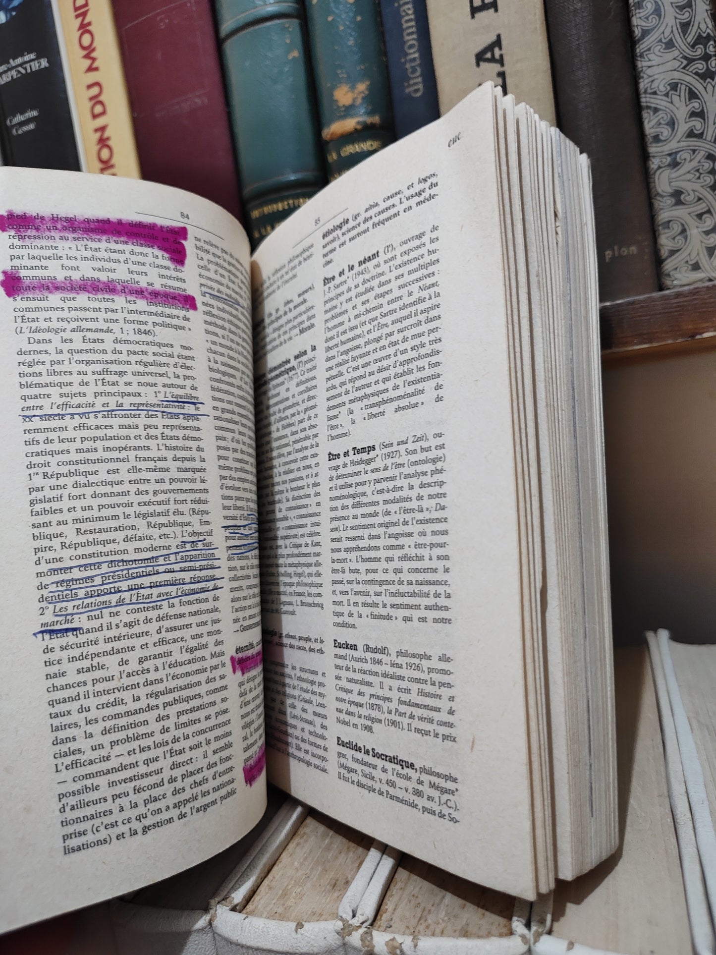 Julia - Dictionnaire de la philosophie Larousse  (voir photos)