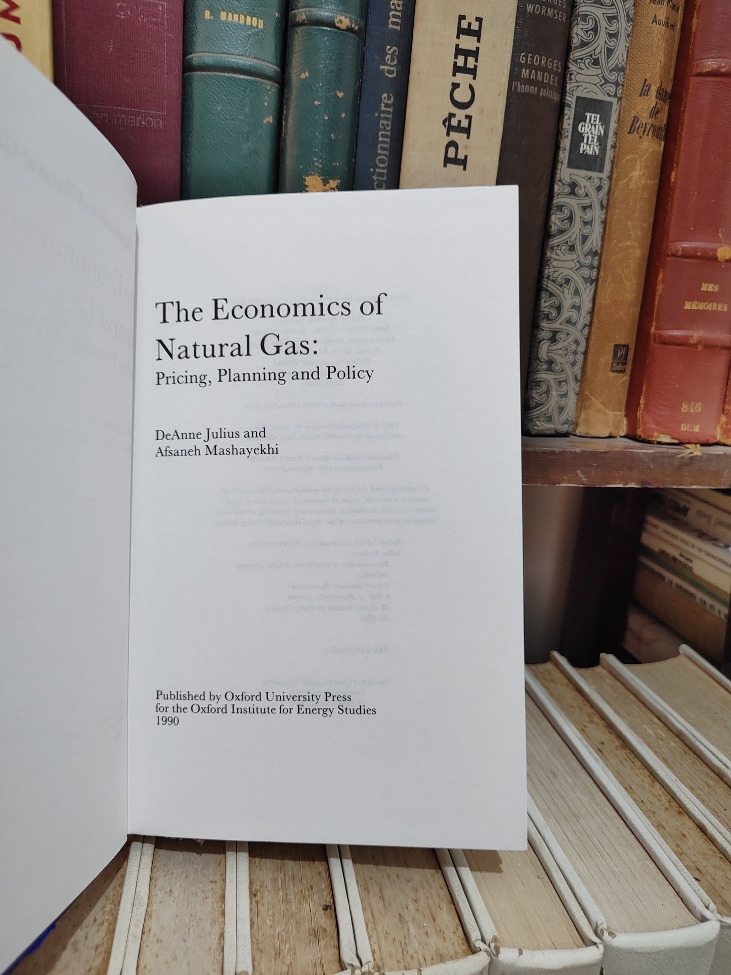 Julius - The economics of natural gas