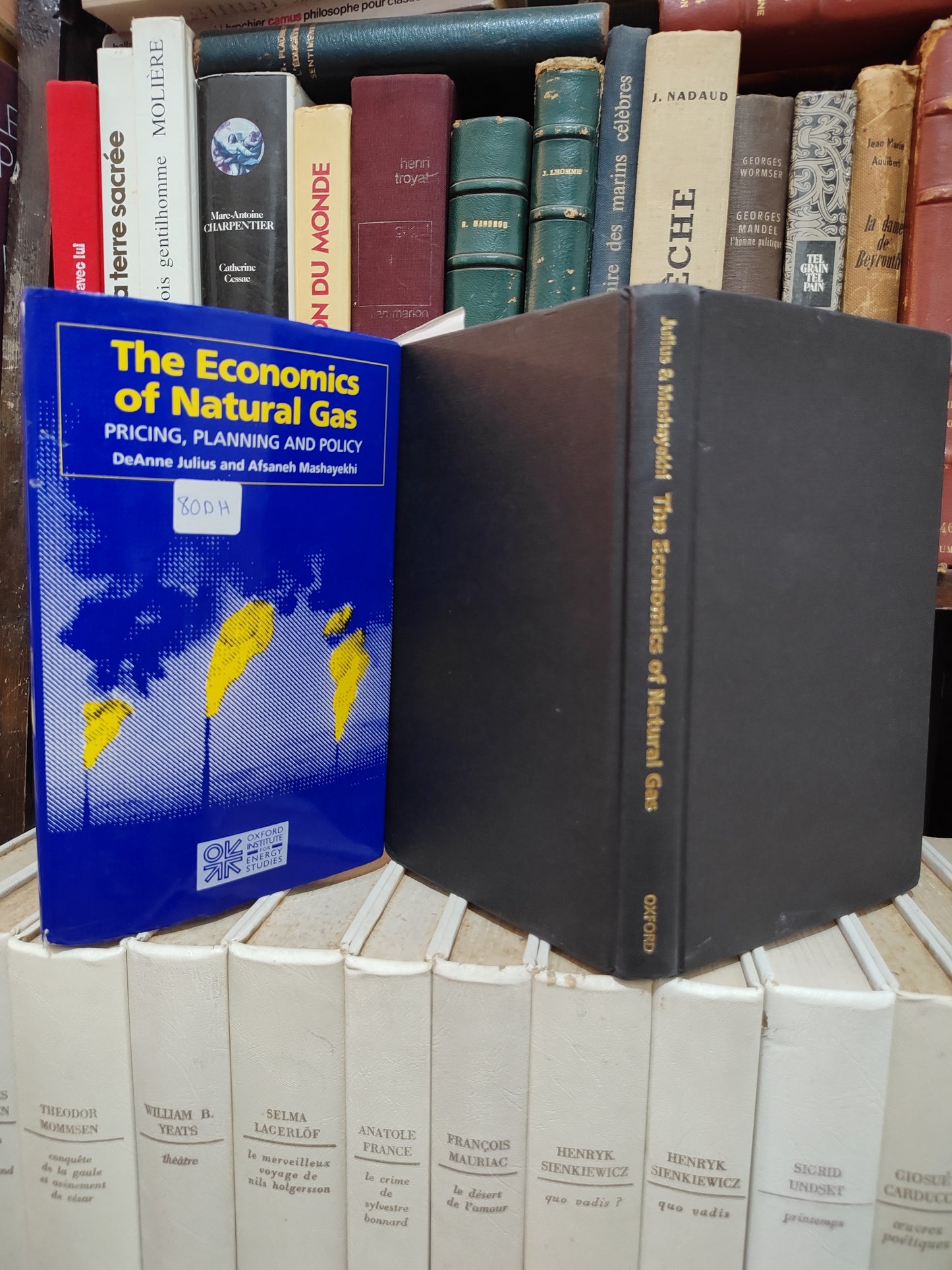 Julius - The economics of natural gas