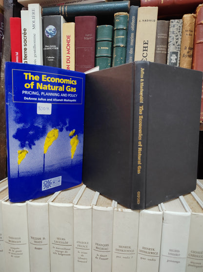 Julius - The economics of natural gas