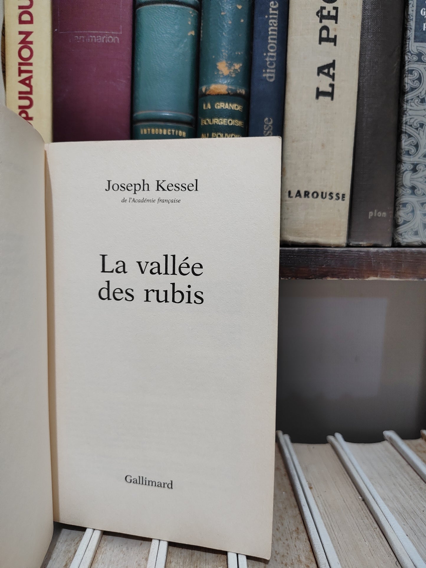 Kessel - La vallée des rubis