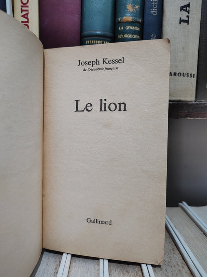 Kessel - Le lion